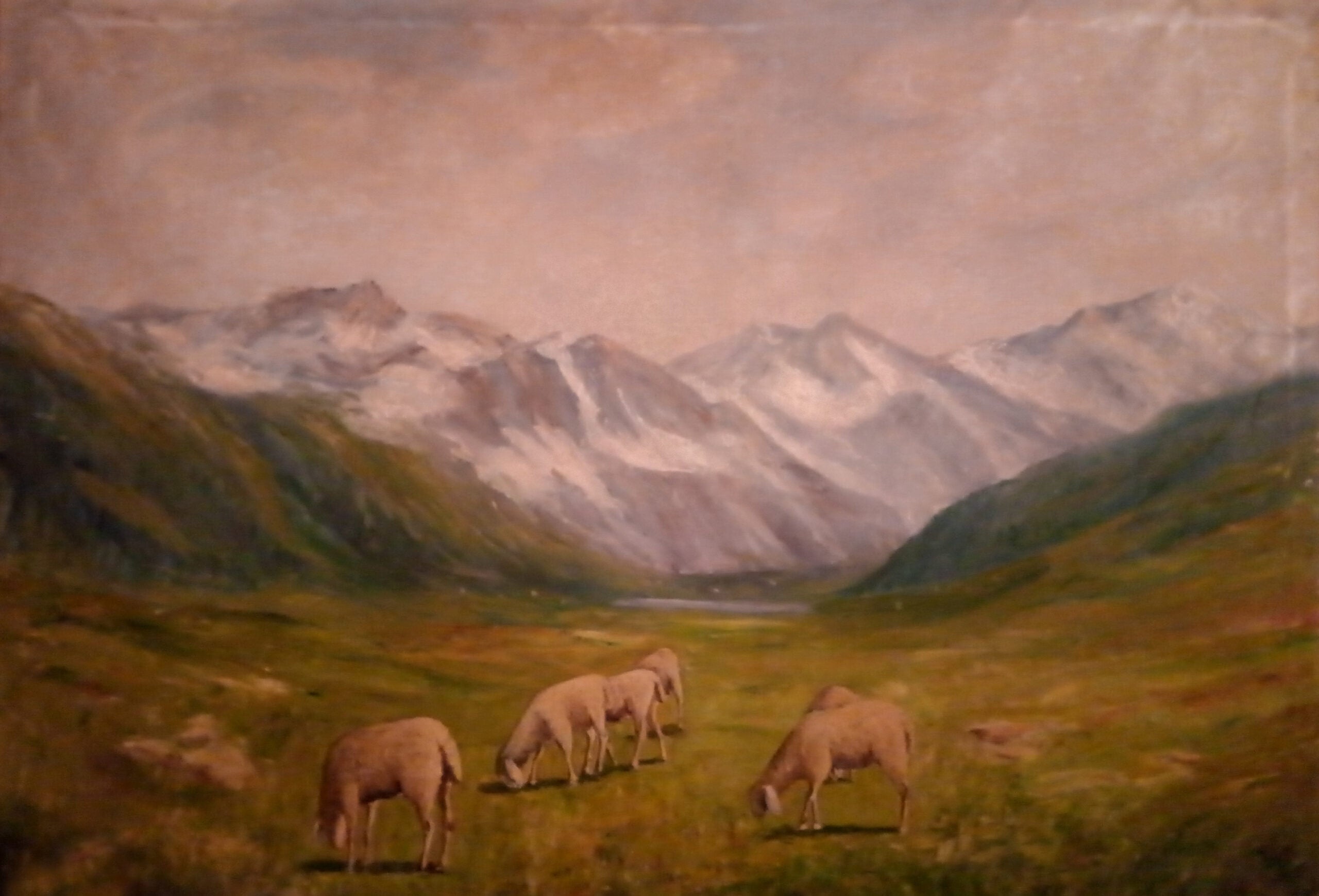 P_20210707_190004_vHDR_On_p-scaled.jpg?v=1768469654