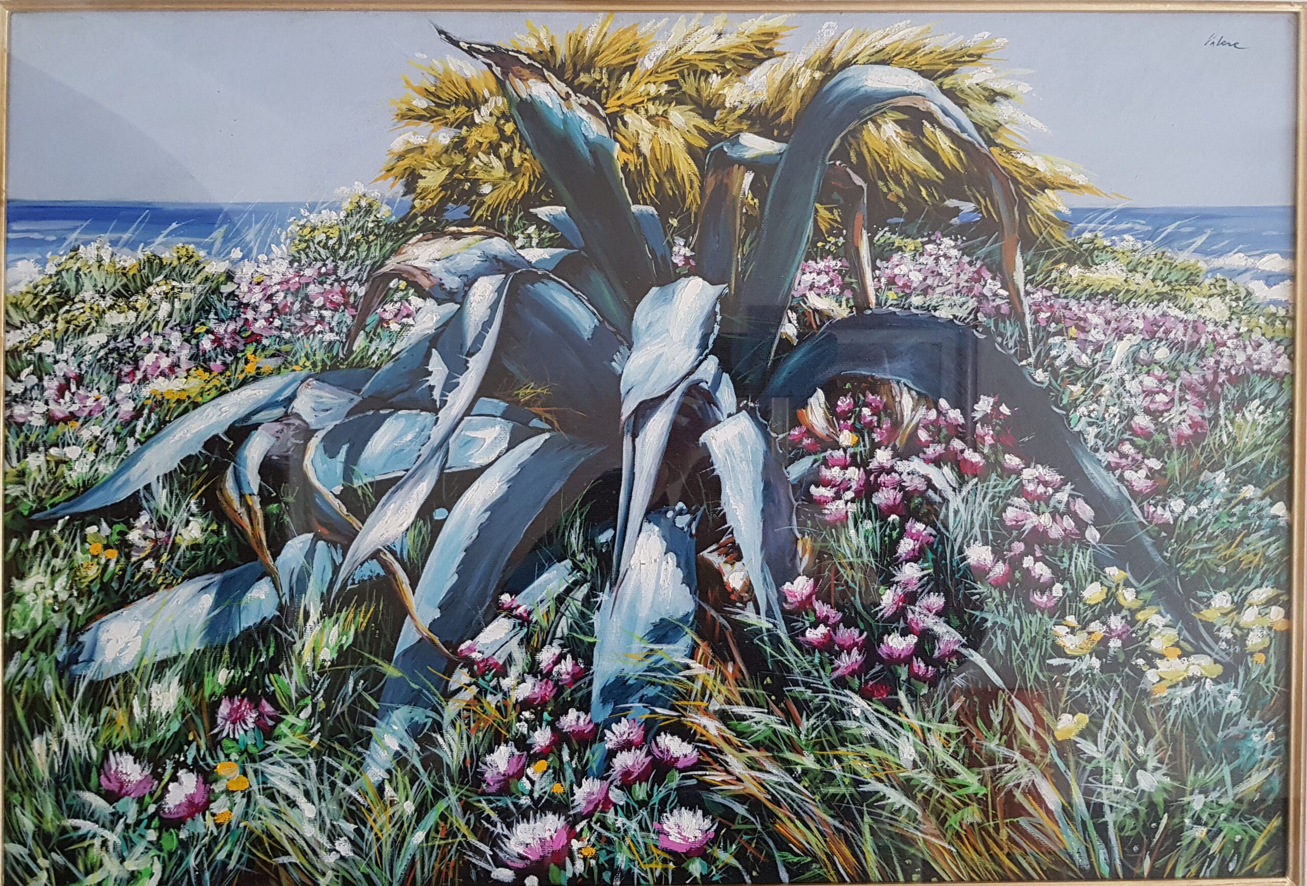 Autore Sconosciuto - Agave