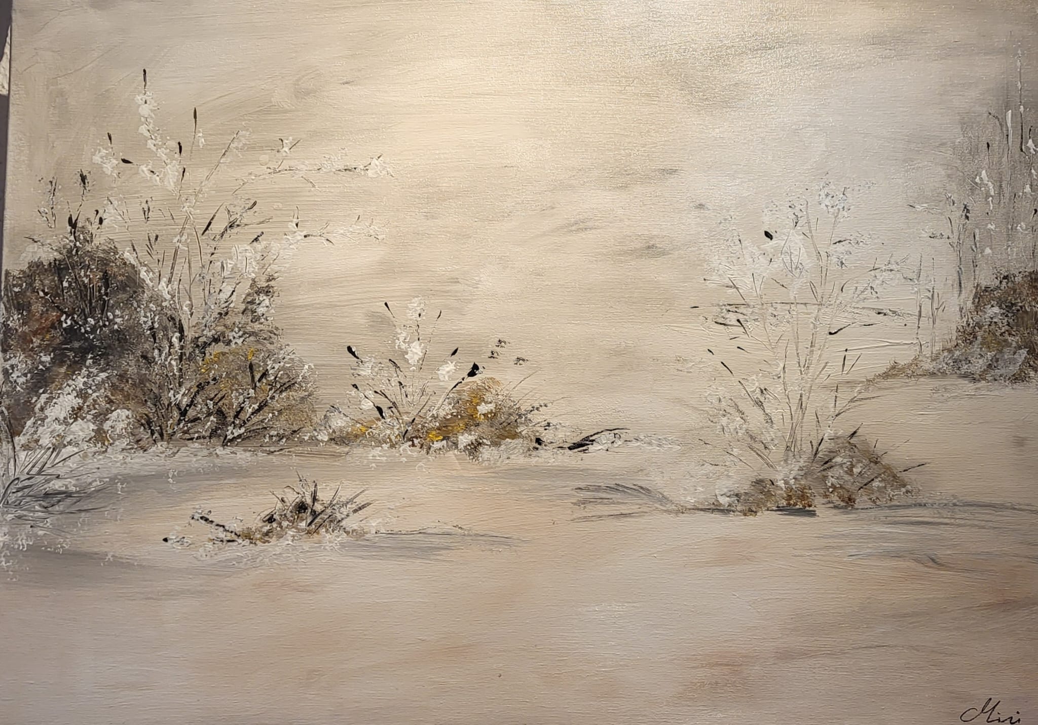NIEVE EN EL CAMPO