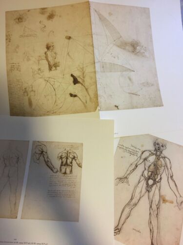 Leonardo Da Vinci - The One Hundred Most Beautiful Drawings (Anatomy and Nature Studies) - Giunti Treccani