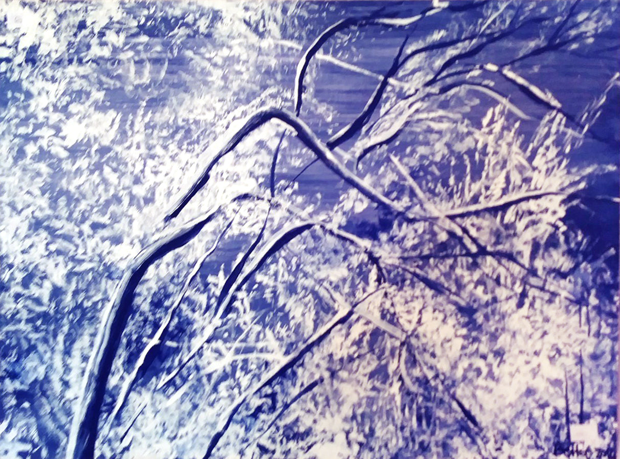 Elvia Roggero - Ramo blu, inverno