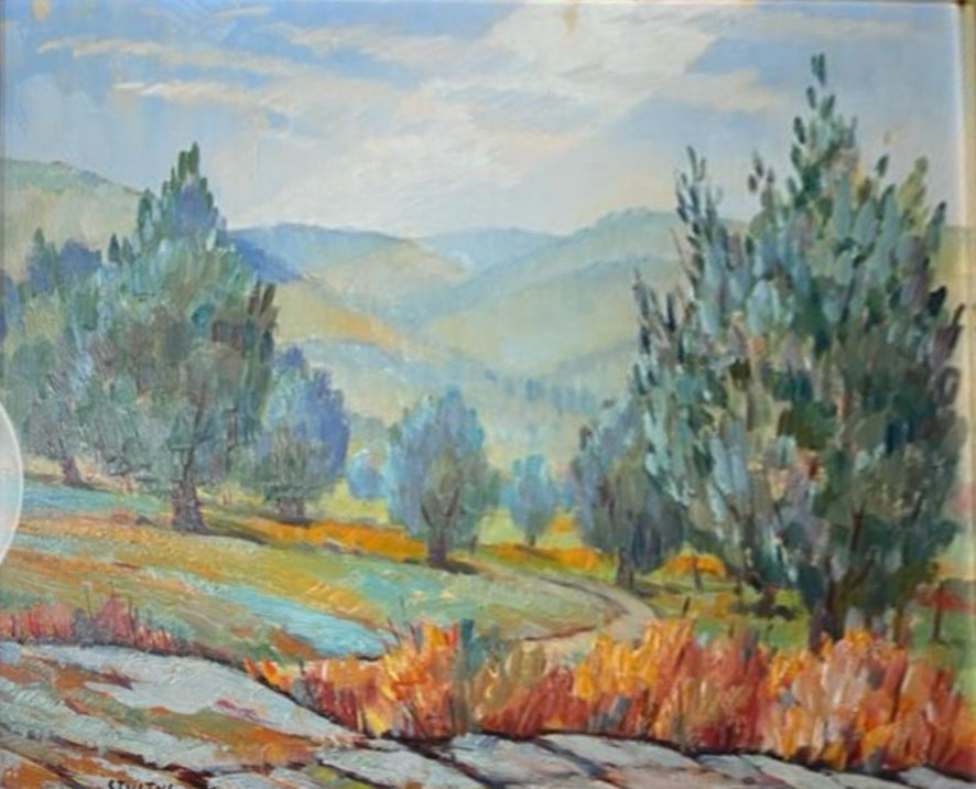 Dyalma Stultus - Campagne nel Chiatigiano