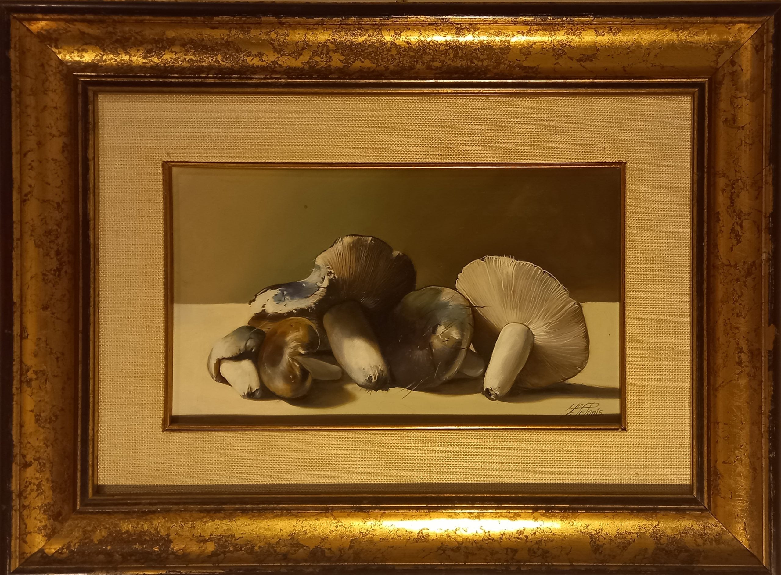 Francesco De Panis - Funghi