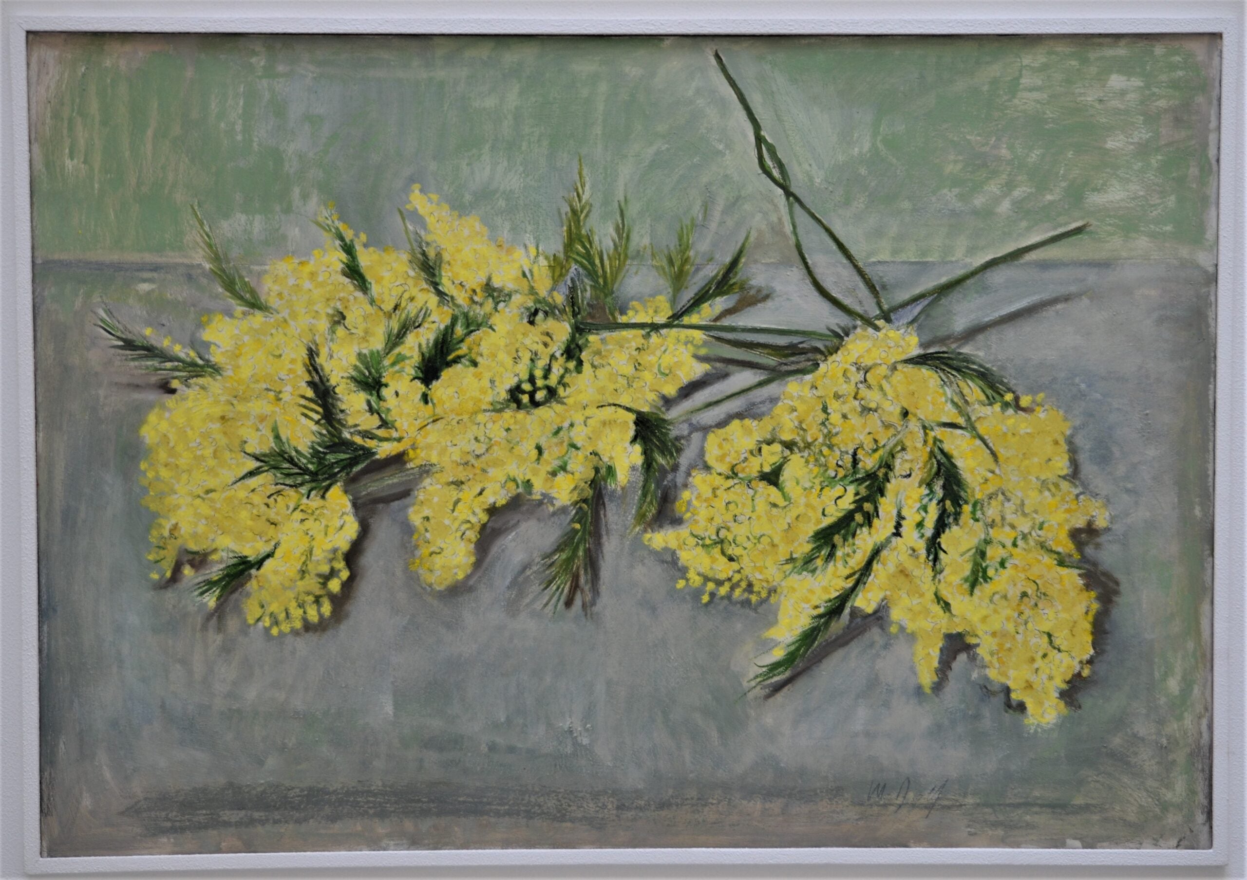 Marco Dolfi - Mimosa Composition