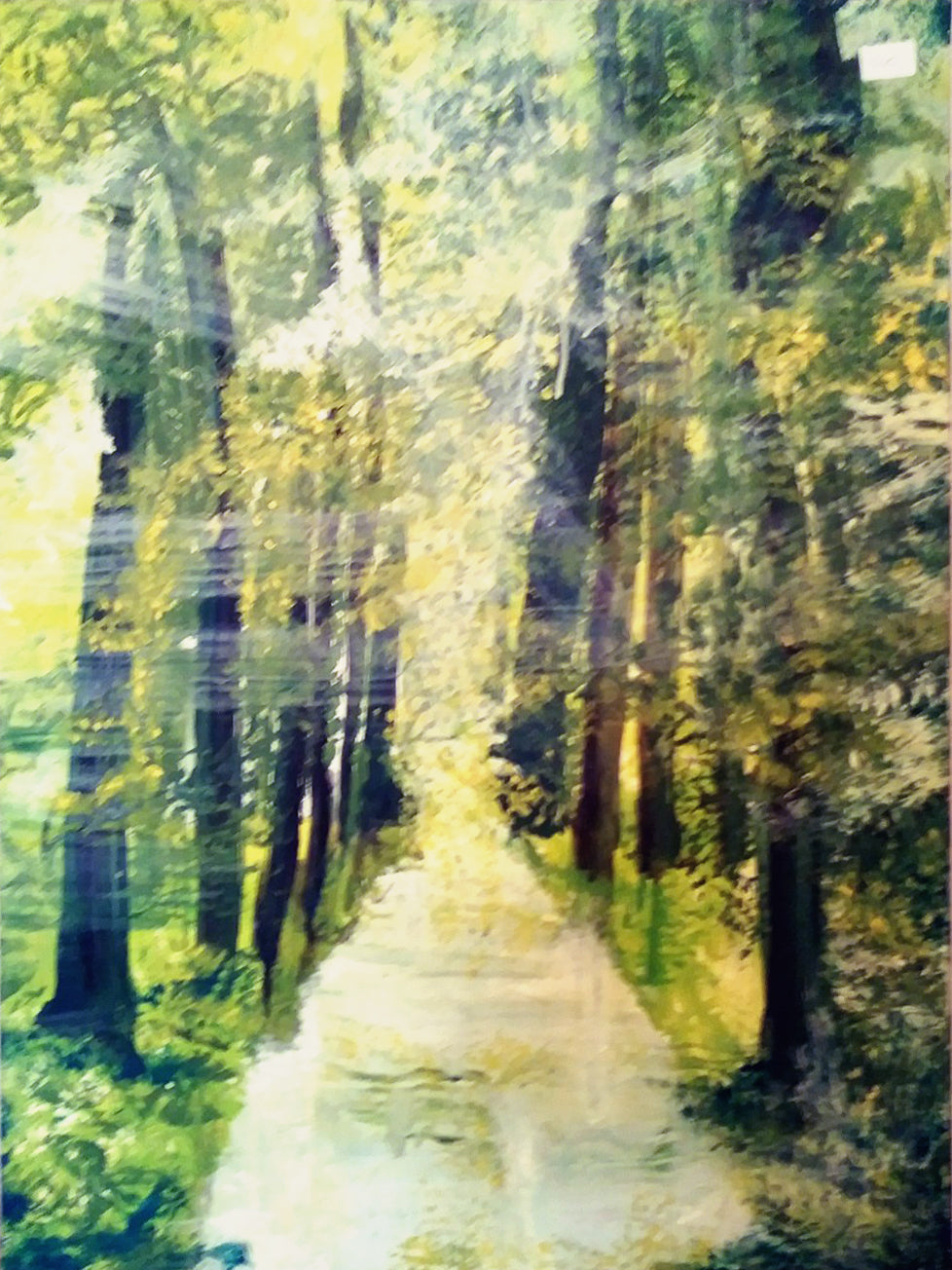 Elvia Roggero - Bosco verde
