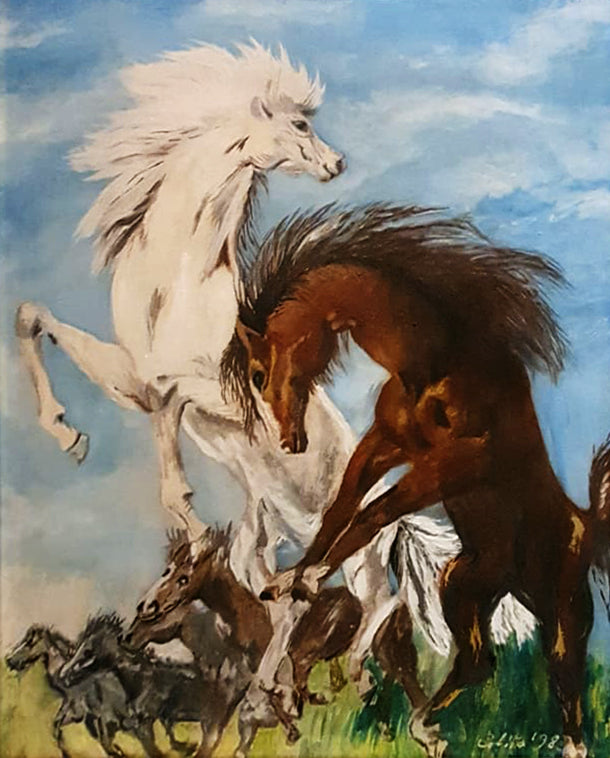 Coletta - Cavalli
