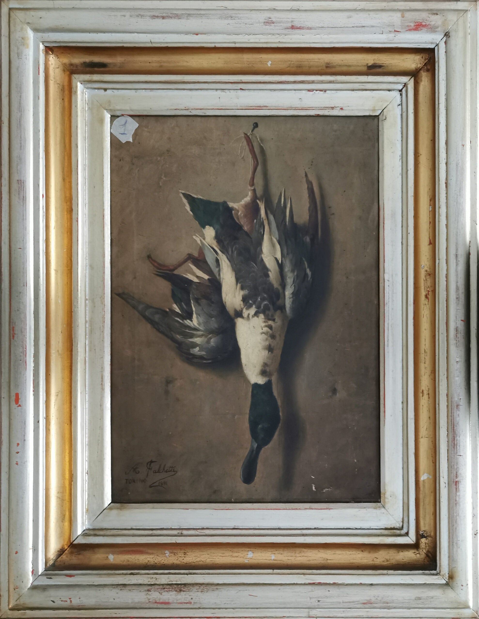 Alberto Falchetti - Natura Morta