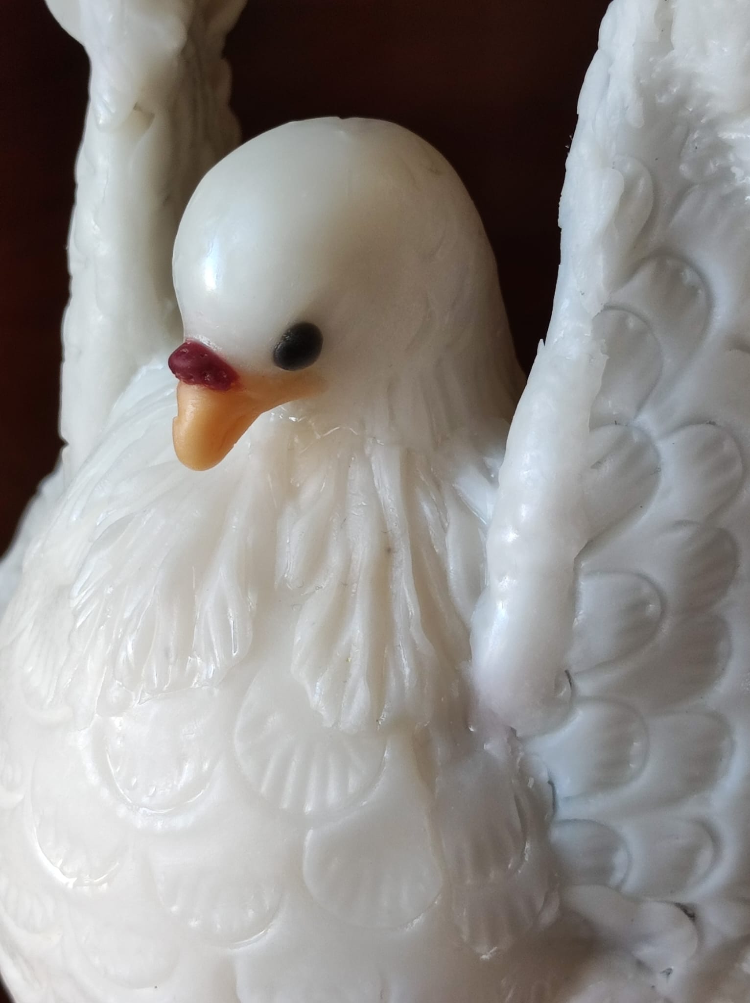 Colomba