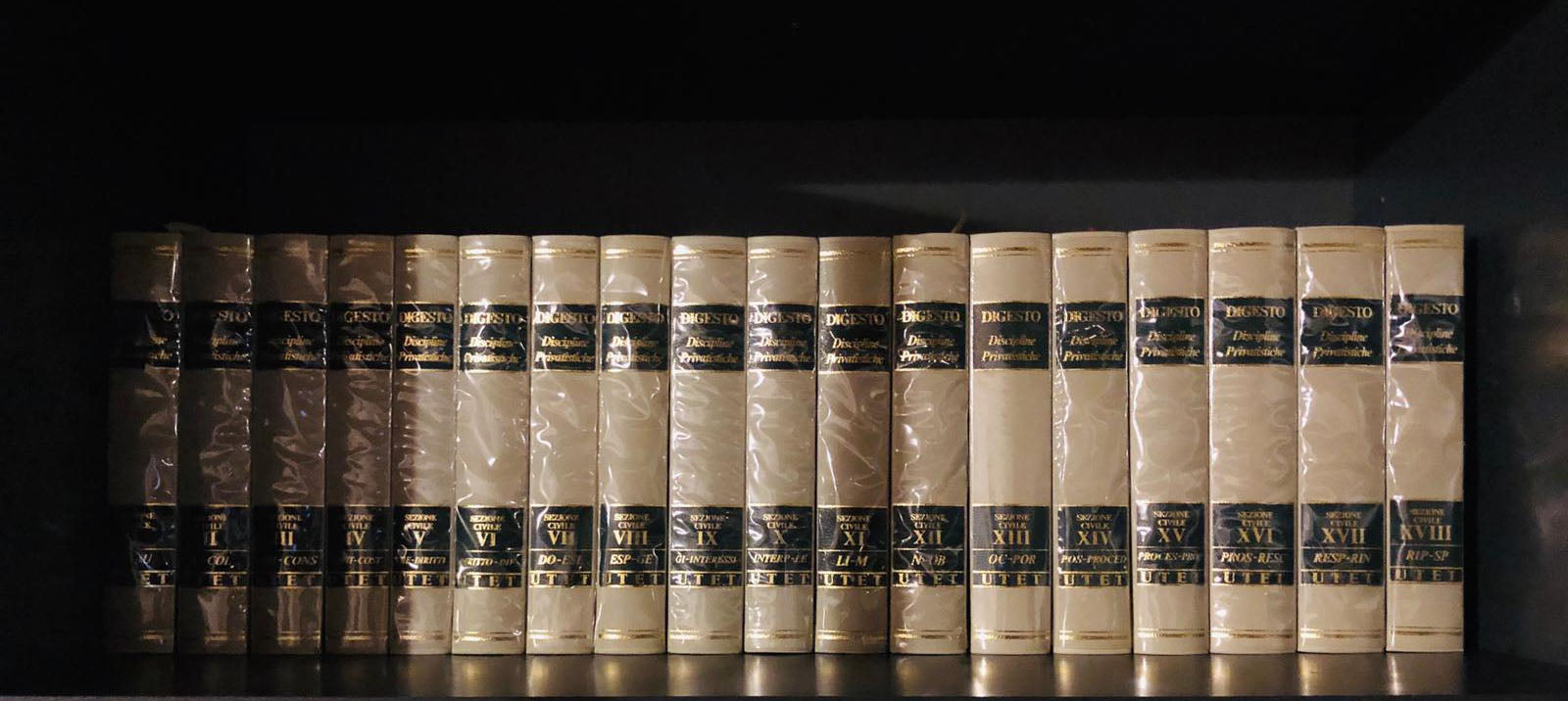 Dizionario DIGESTO - Utet