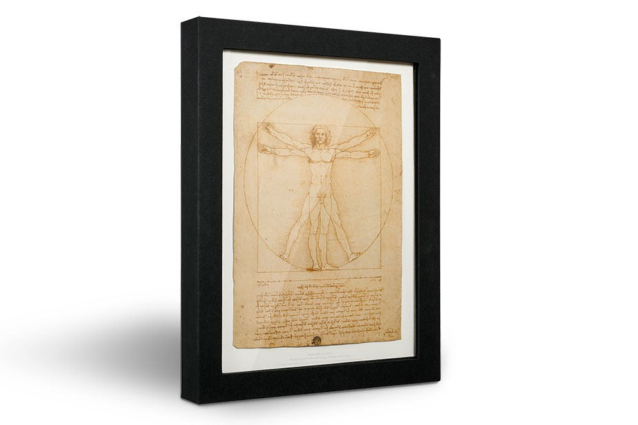 Leonardo 500 - Skel