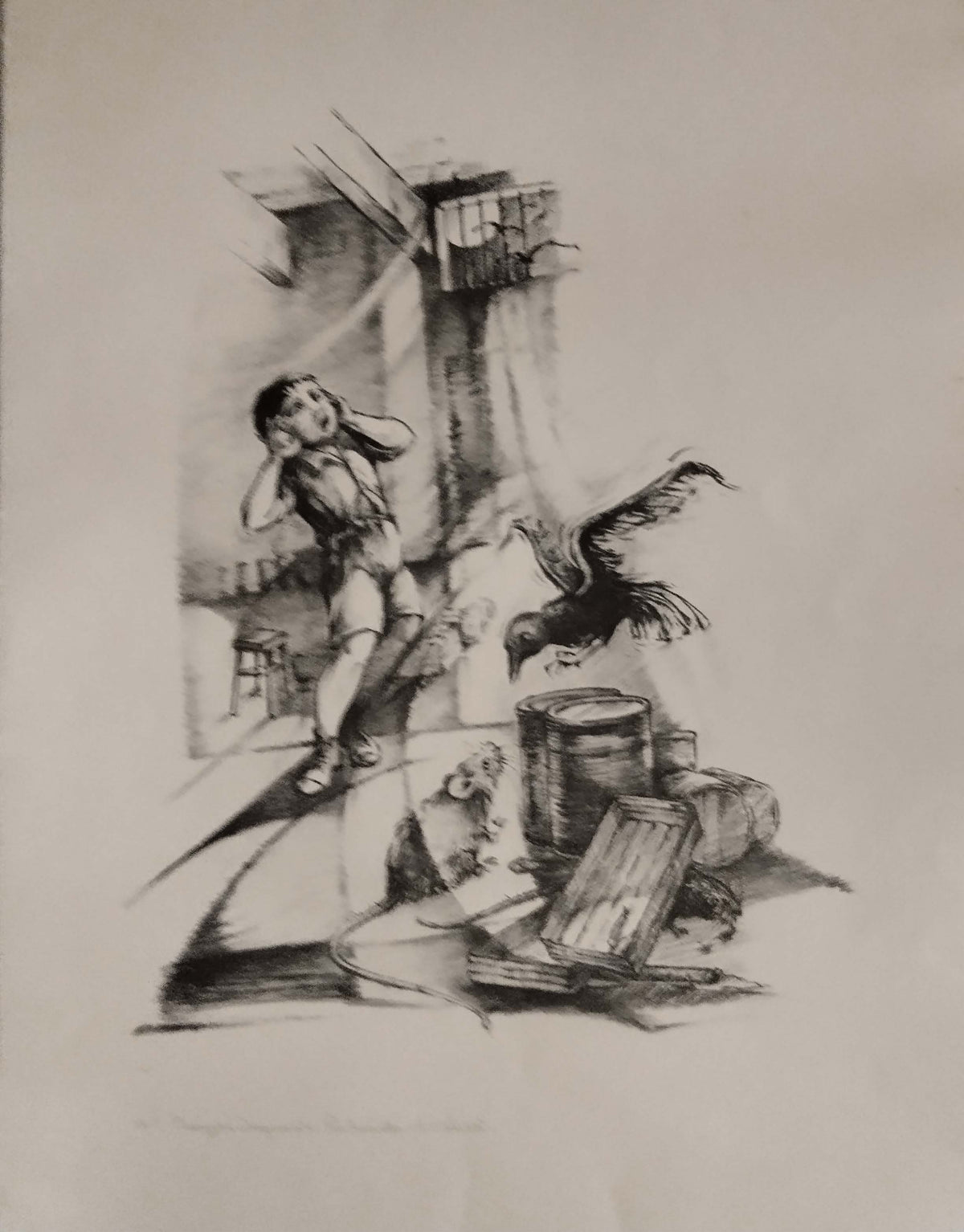 Dragunara di Giuseppe Coluzzi, disegno