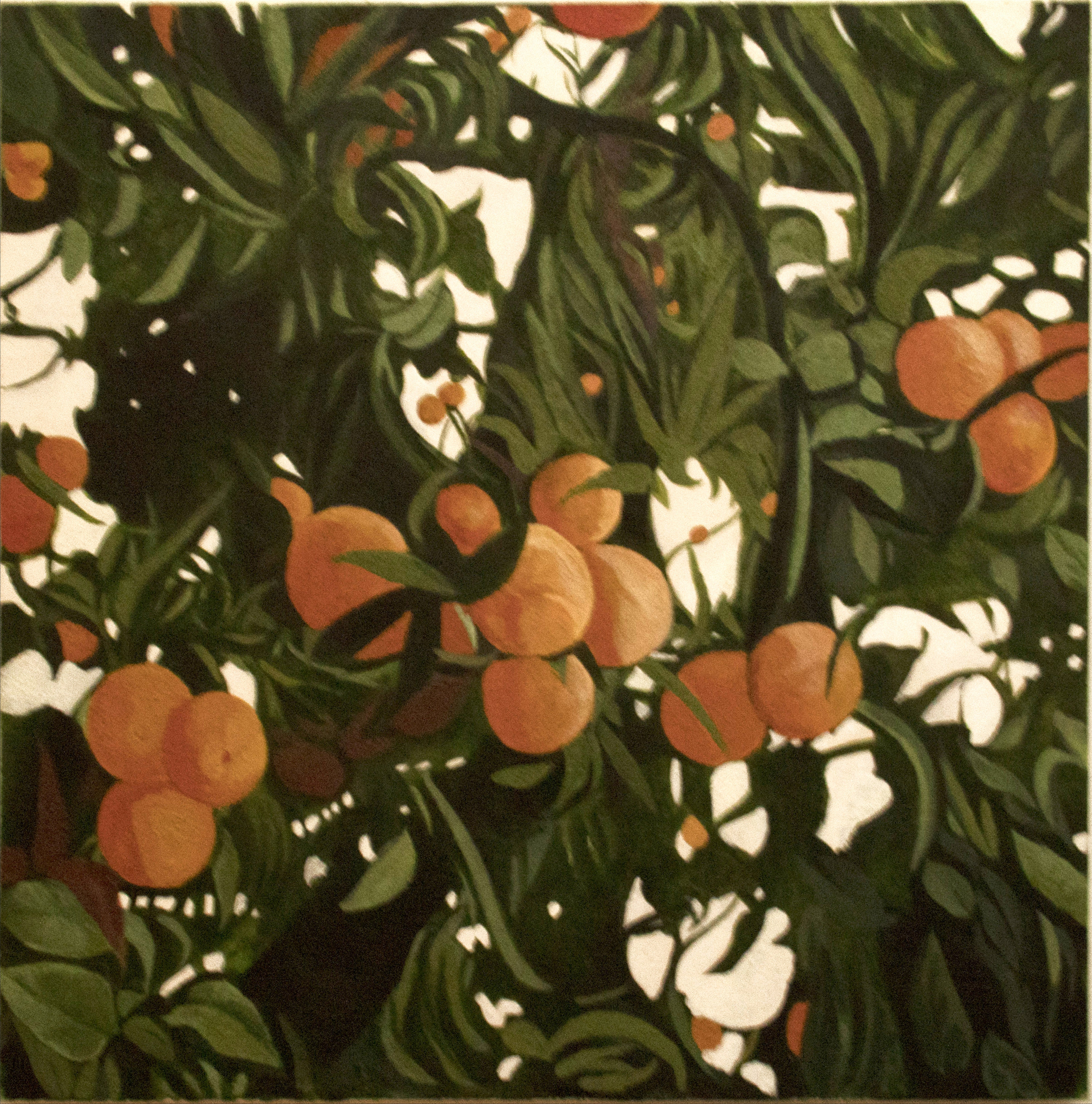 Bianca De Maio - Jardín de Sorrento