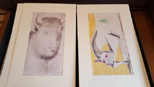 Pablo Picasso - Studi per Guernica - Salerno Editore