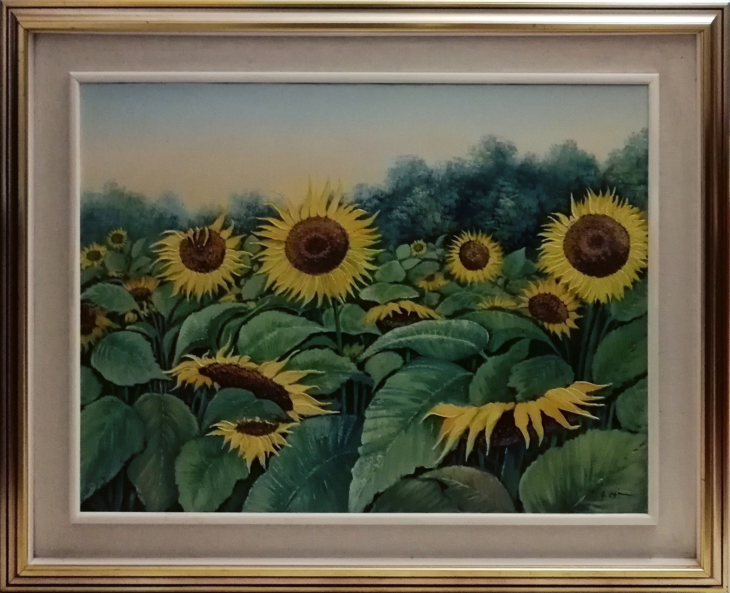 Caini - Girasoli
