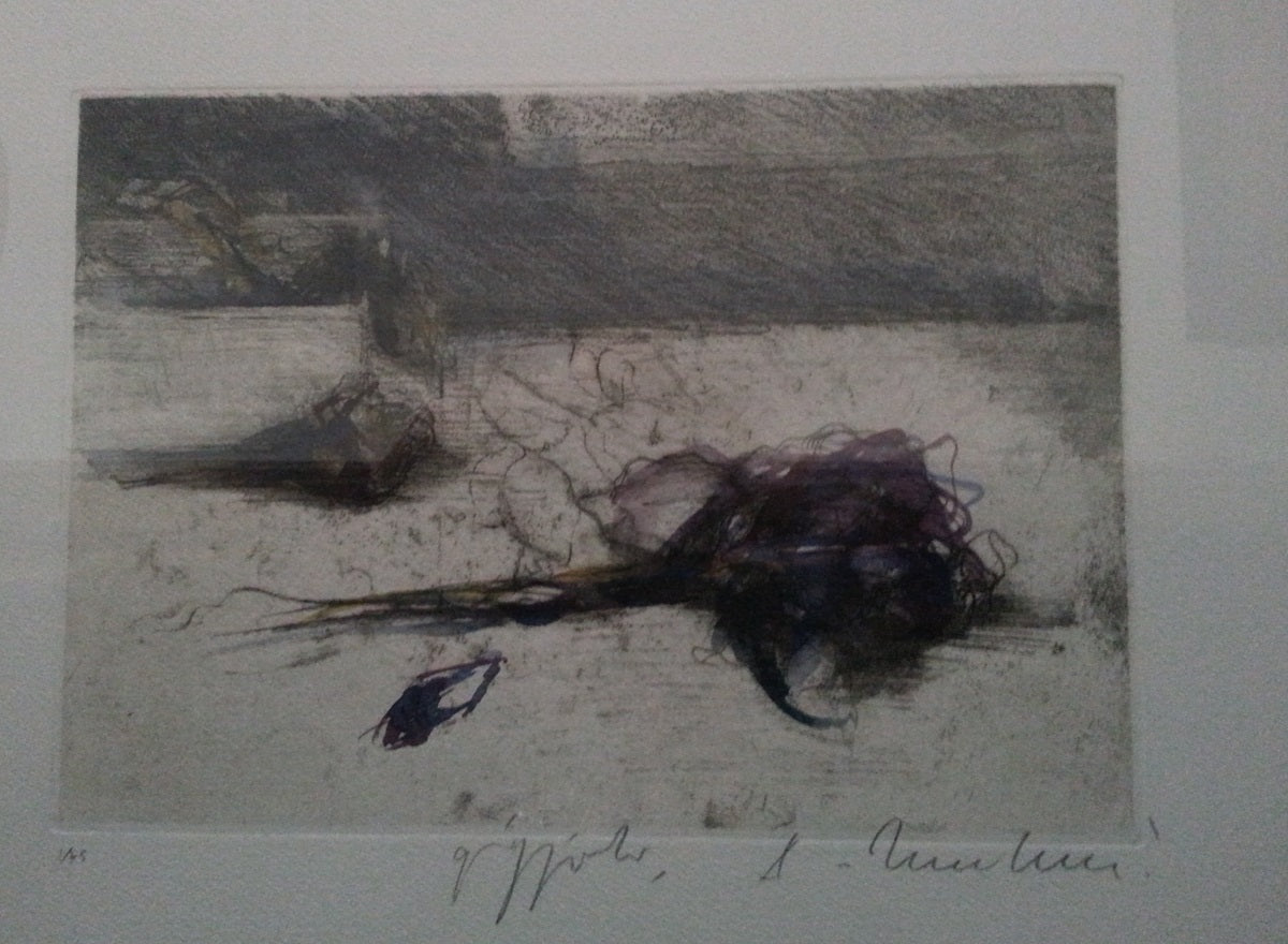 Alessandro Nocentini - Giaggiolo