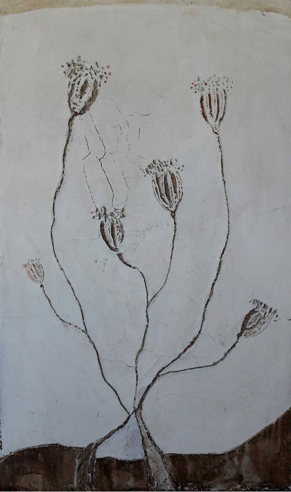 Raffaella Zanzani - Nascita