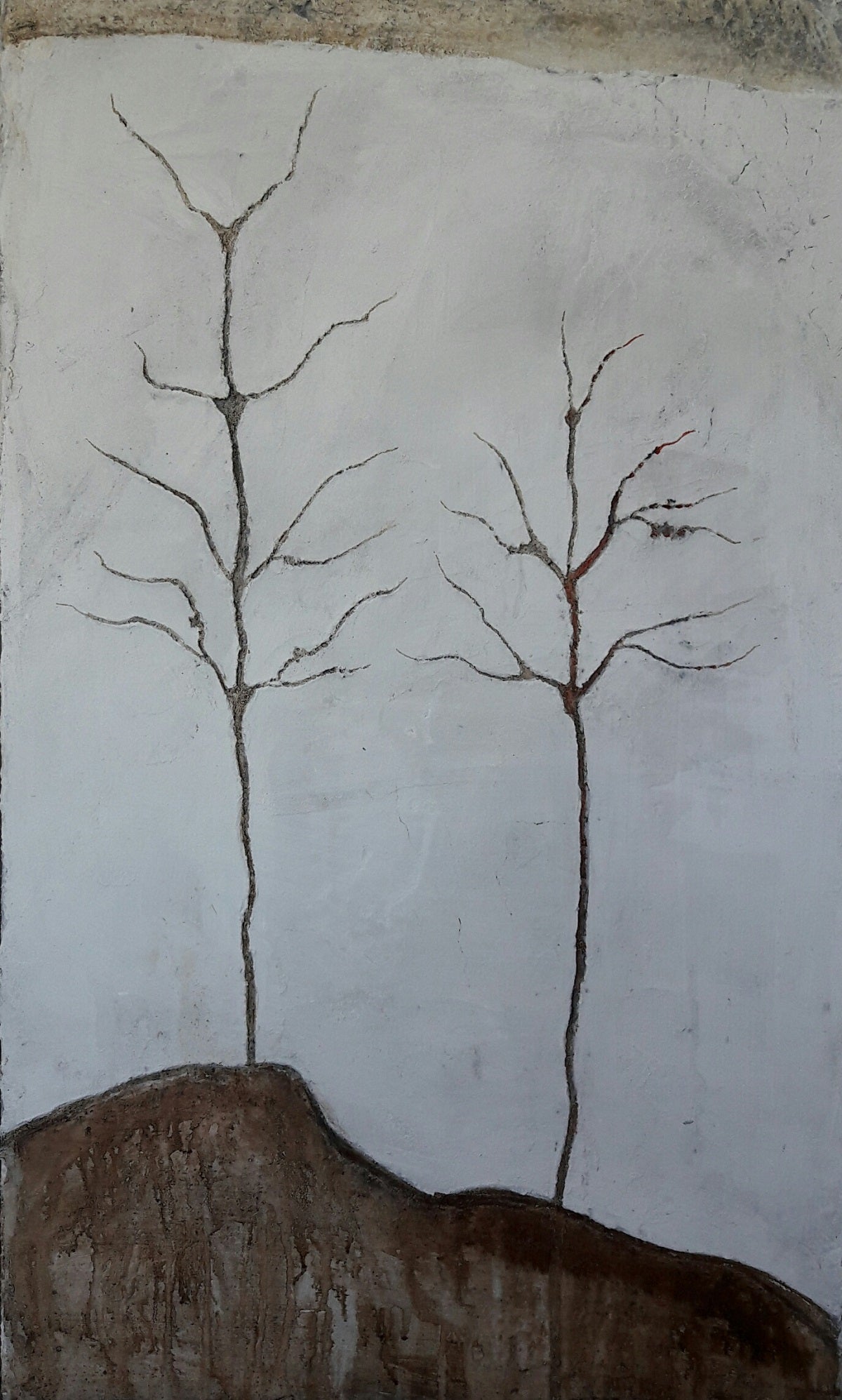 Raffaella Zanzani - Nascita