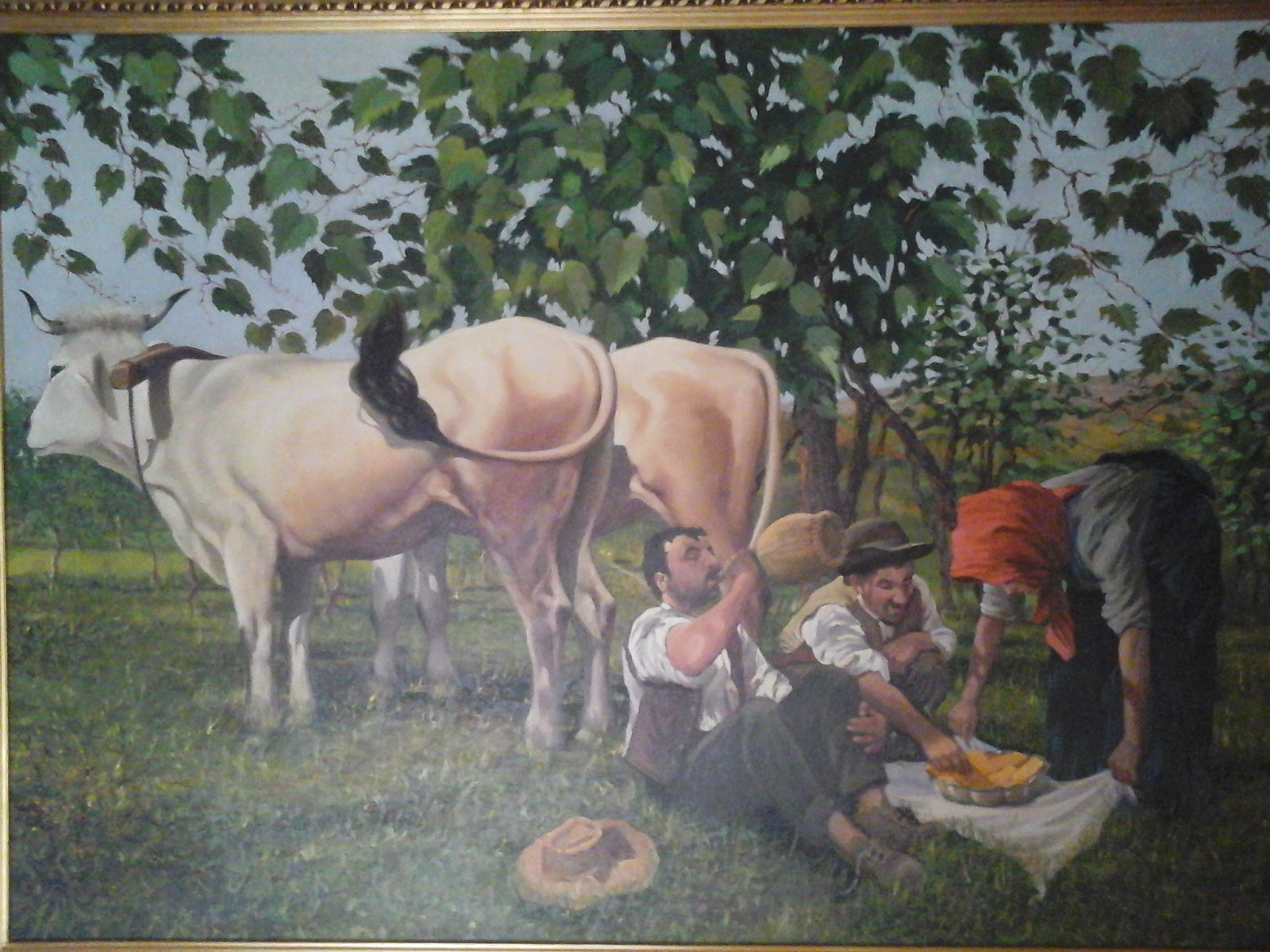 Stangalino Laura - Oxen