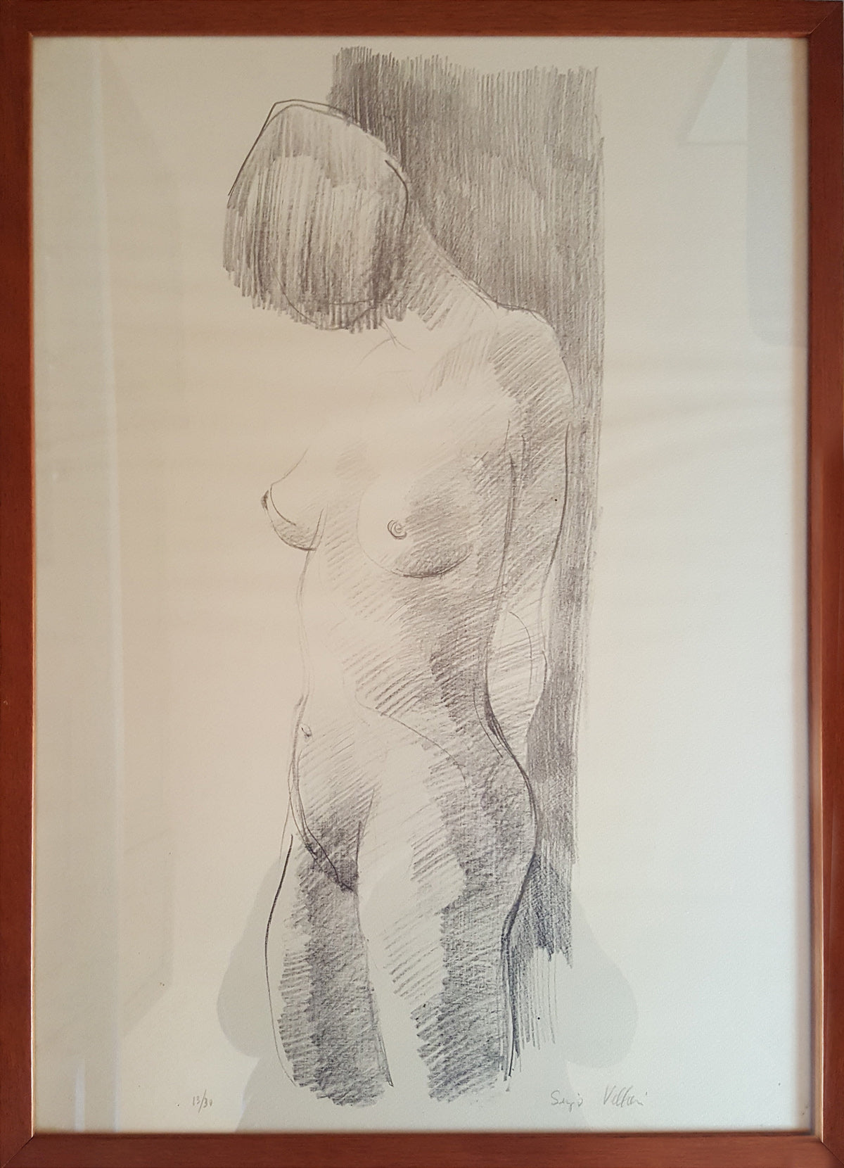 Sergio Vellani - Colección