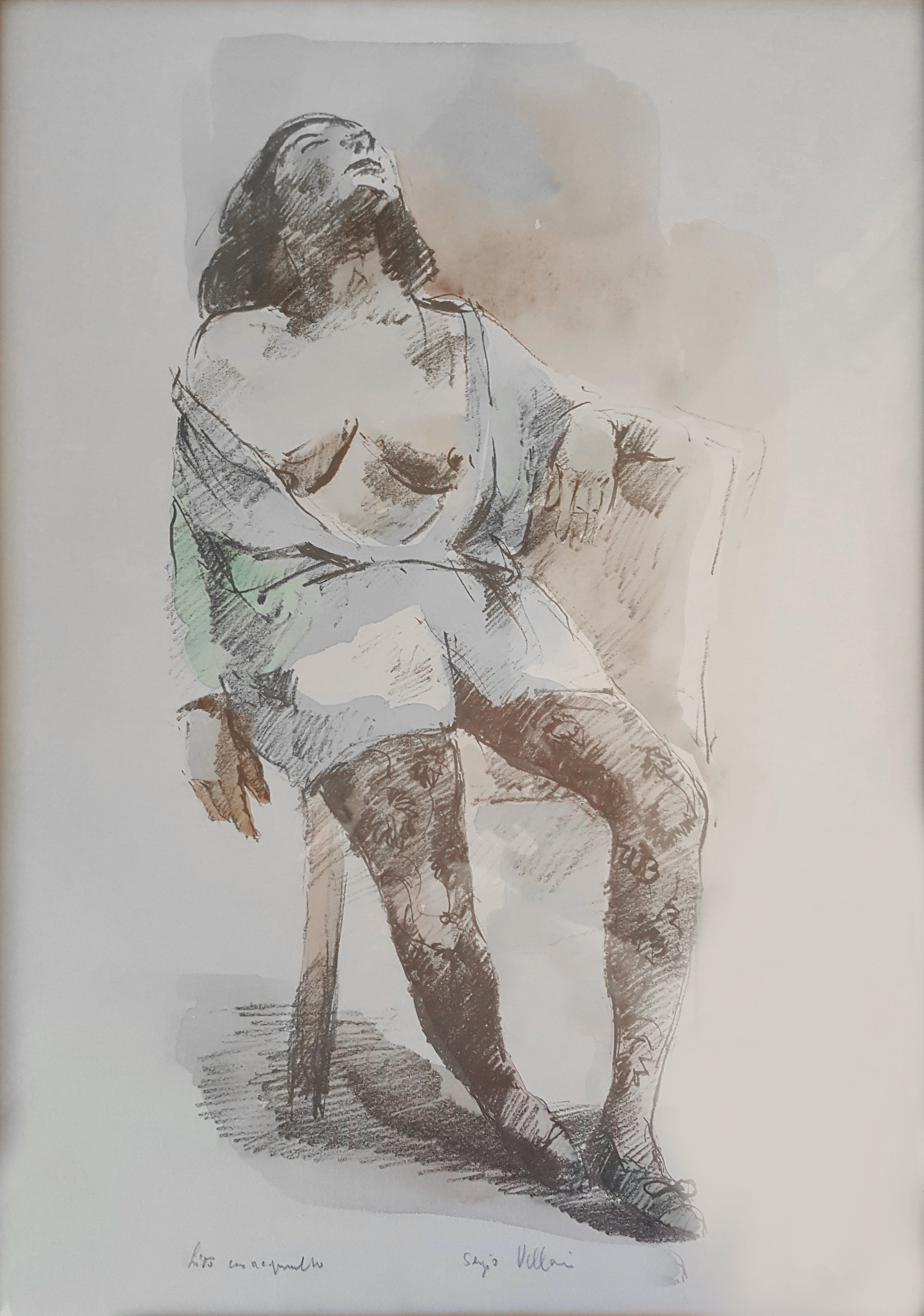 Sergio Vellani - Colección