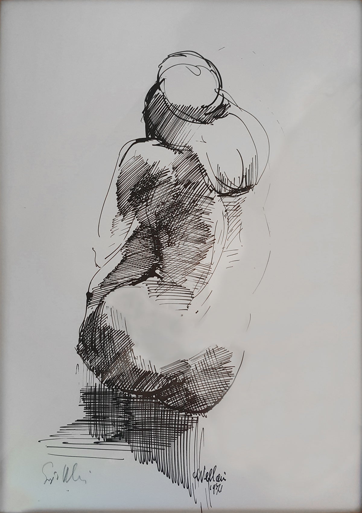 Sergio Vellani - Colección