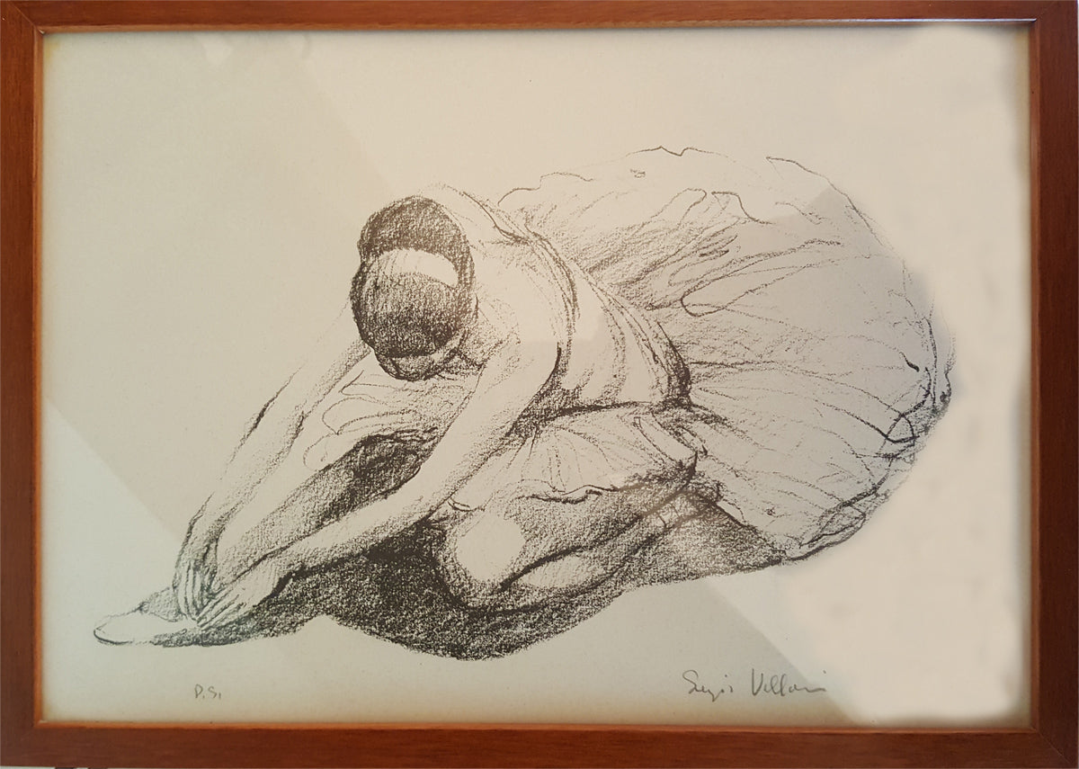 Sergio Vellani - Colección