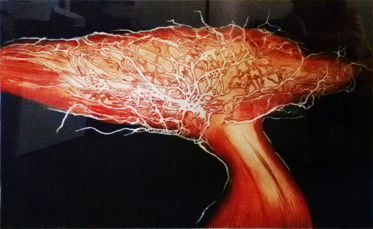 Pino Pandolfini - Cervello esplosivo