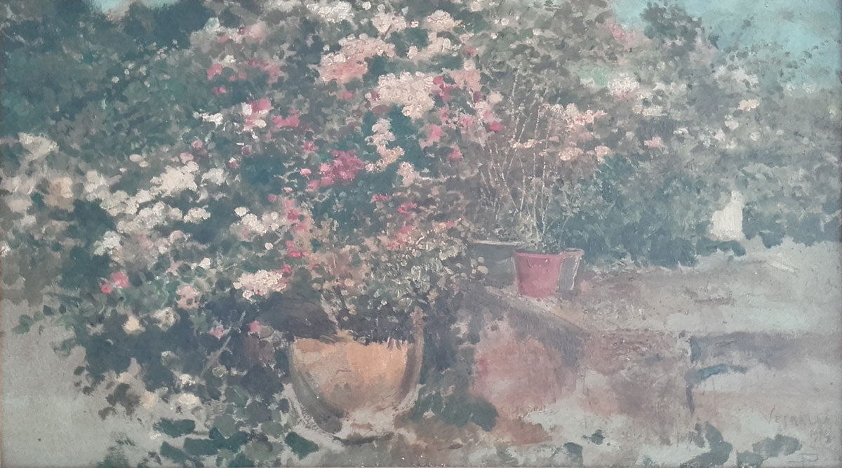 Dante Paolocci - Scorcio