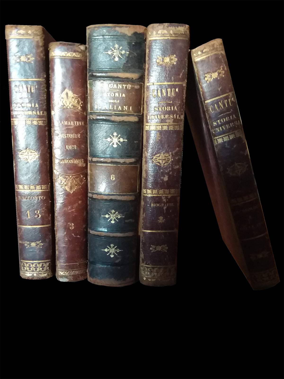 Volumi della Biblioteca dei Savoia Palazzina di Stupinigi