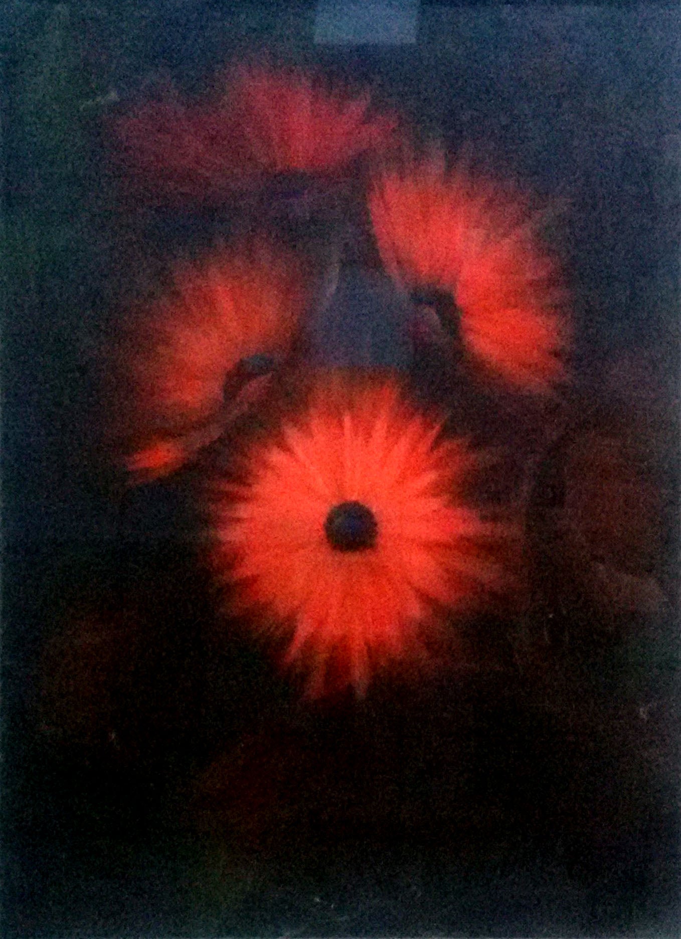 Giuseppe Incerti - Quattro fiori rossi