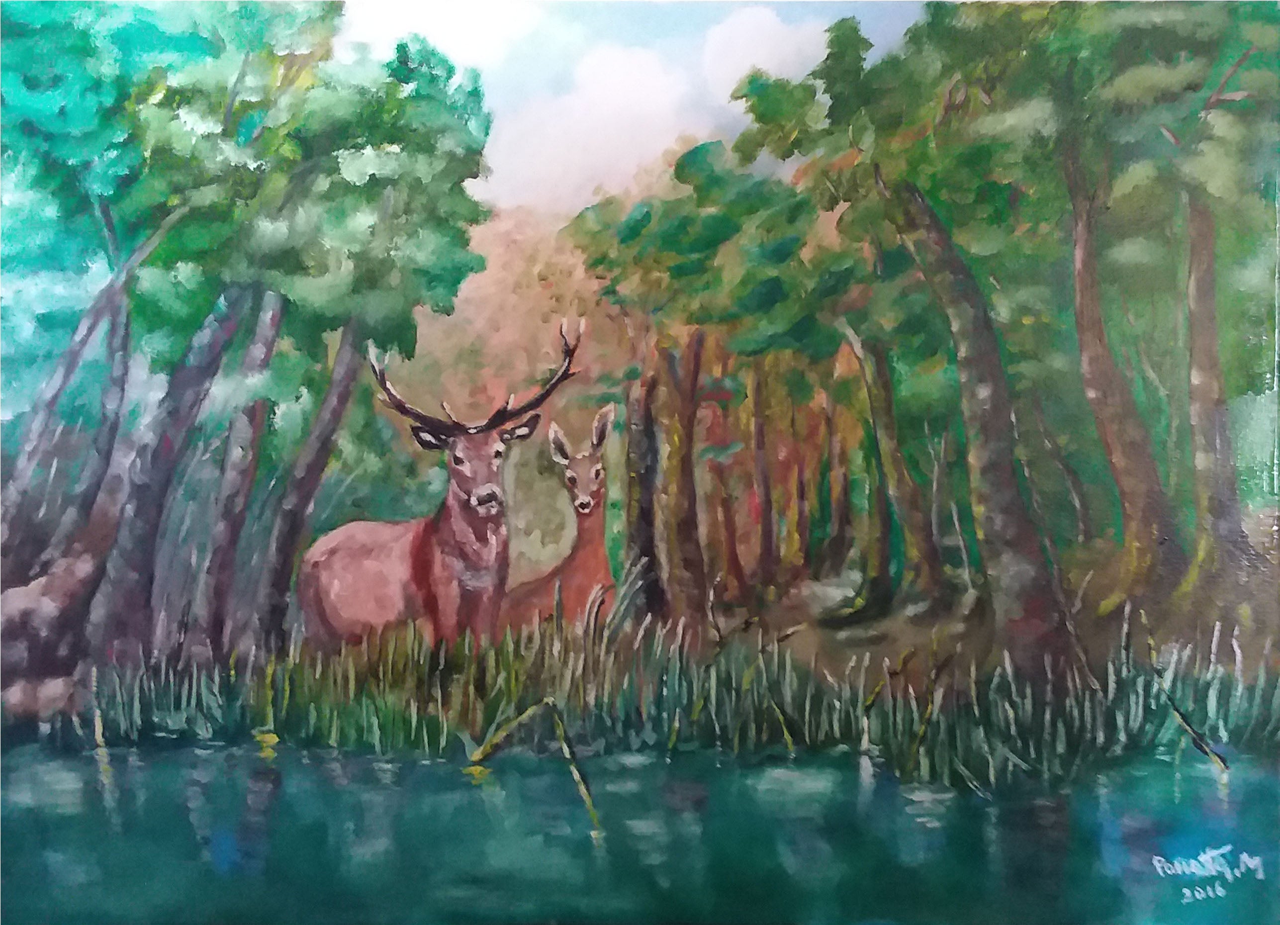 Marcello Panatta - Deer in the Woods