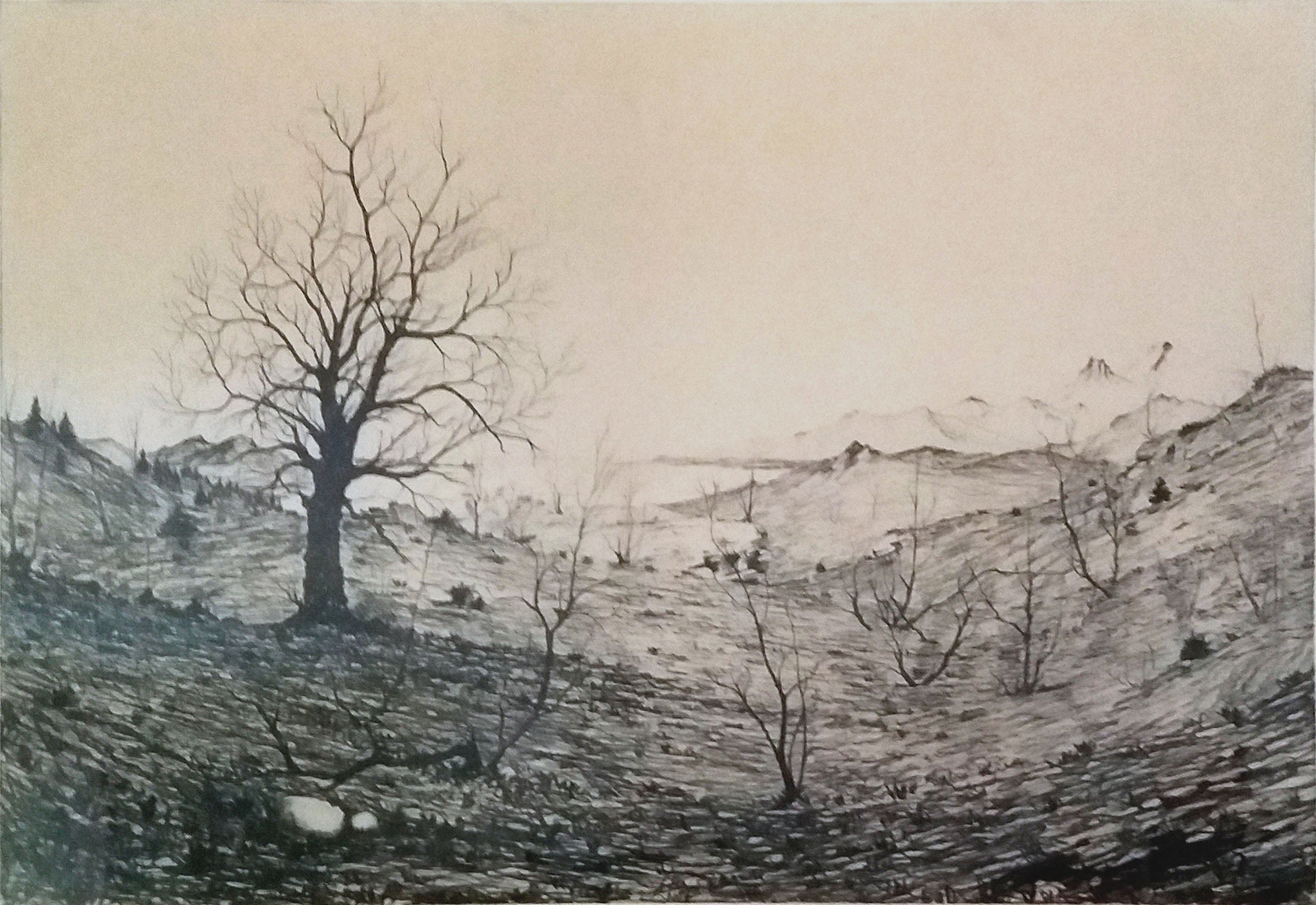 Piergianni Cedraschi - Scorcio di paesaggio montano