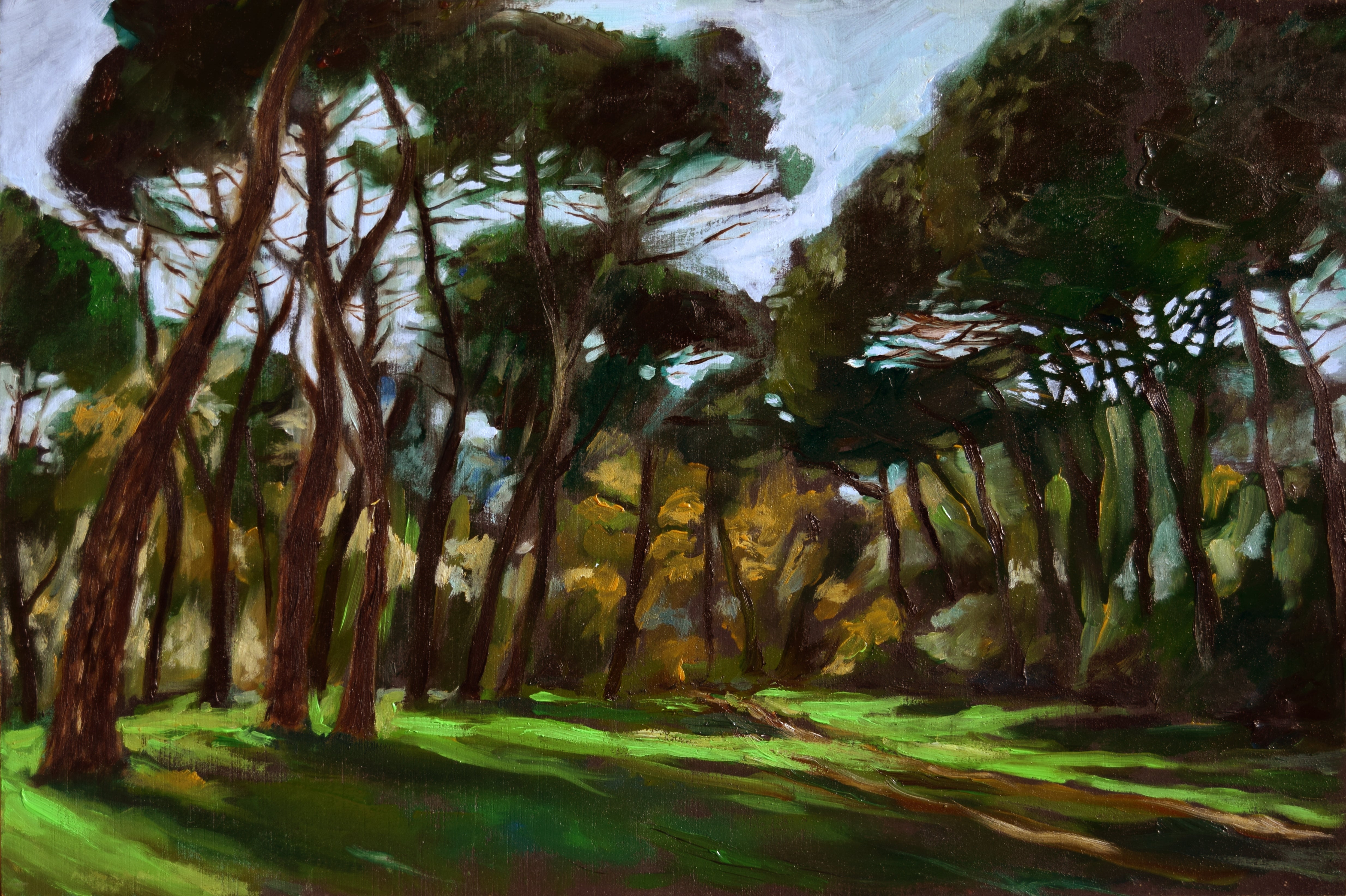 Pineta San Vitale
