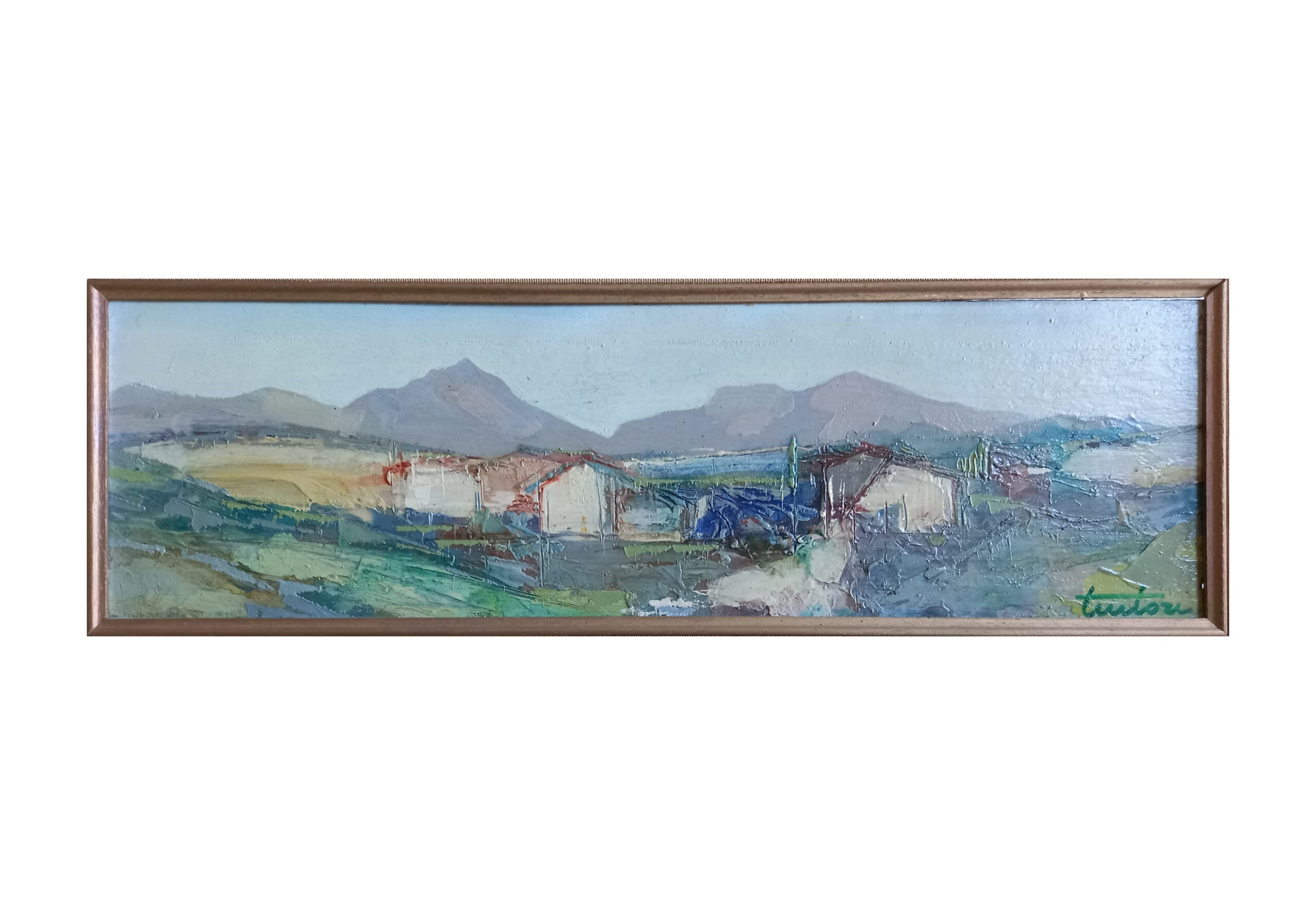 Bruno Tintori - Alta Versilia