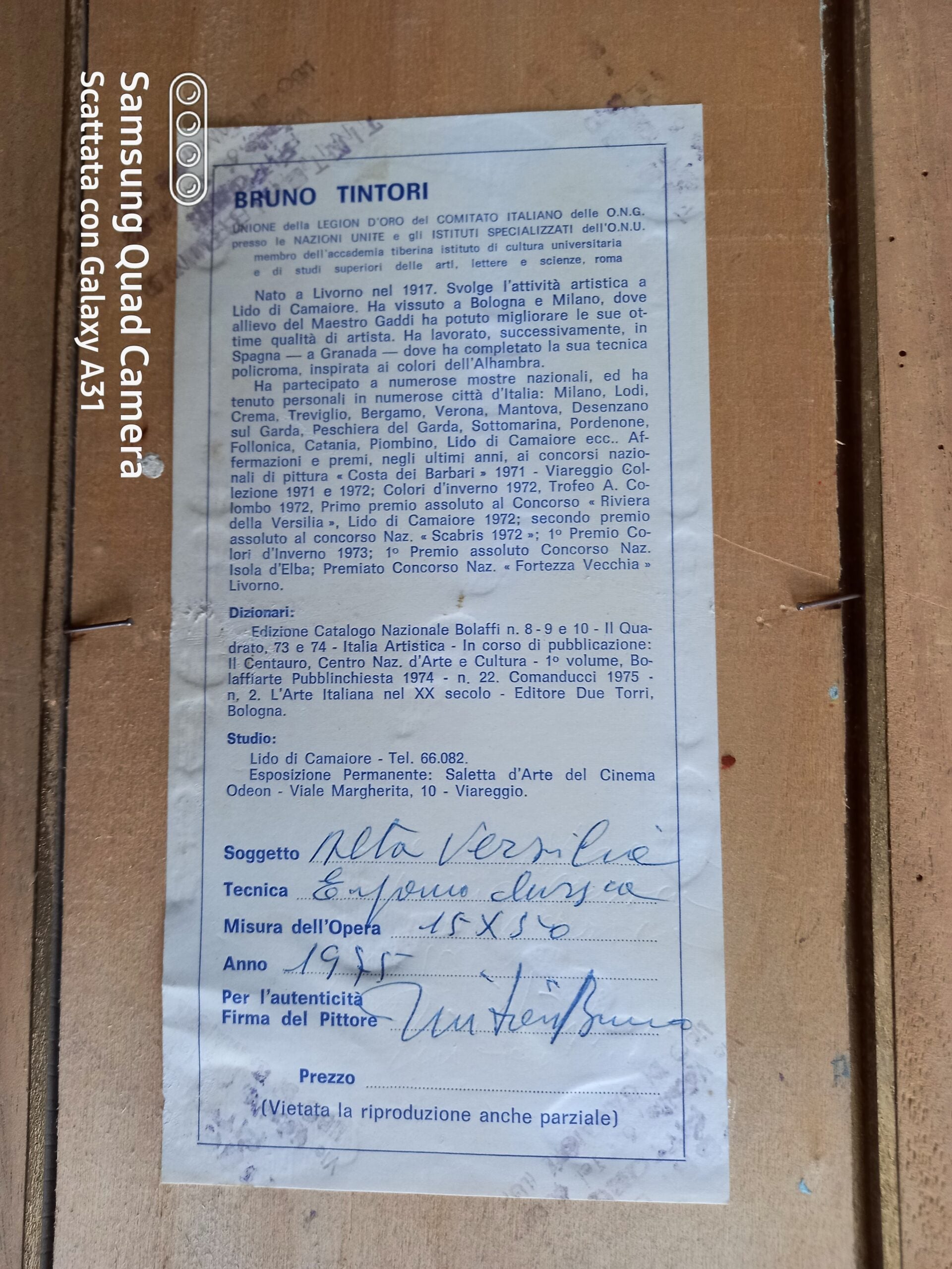 Bruno Tintori - Alta Versilia