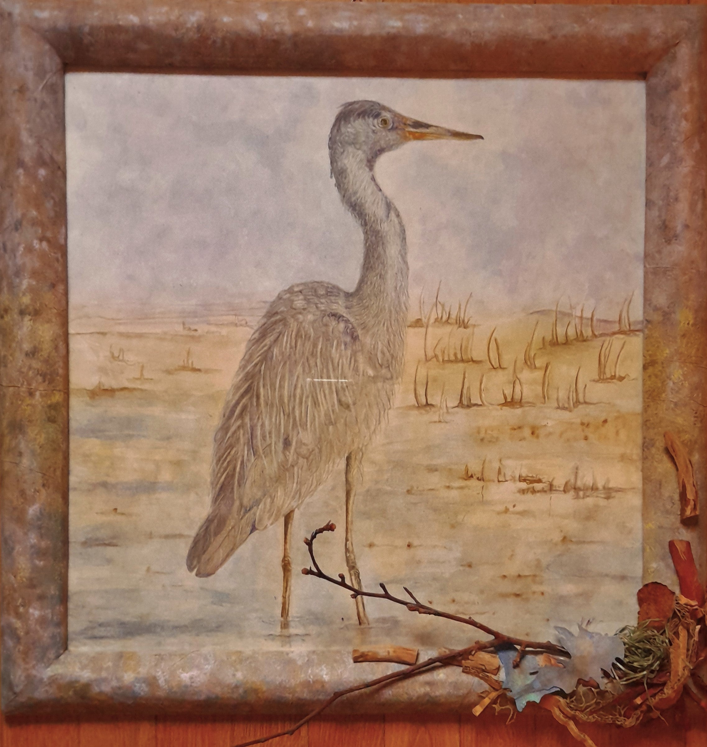 L' OSSERVATORE  Serie -Sono Natura
