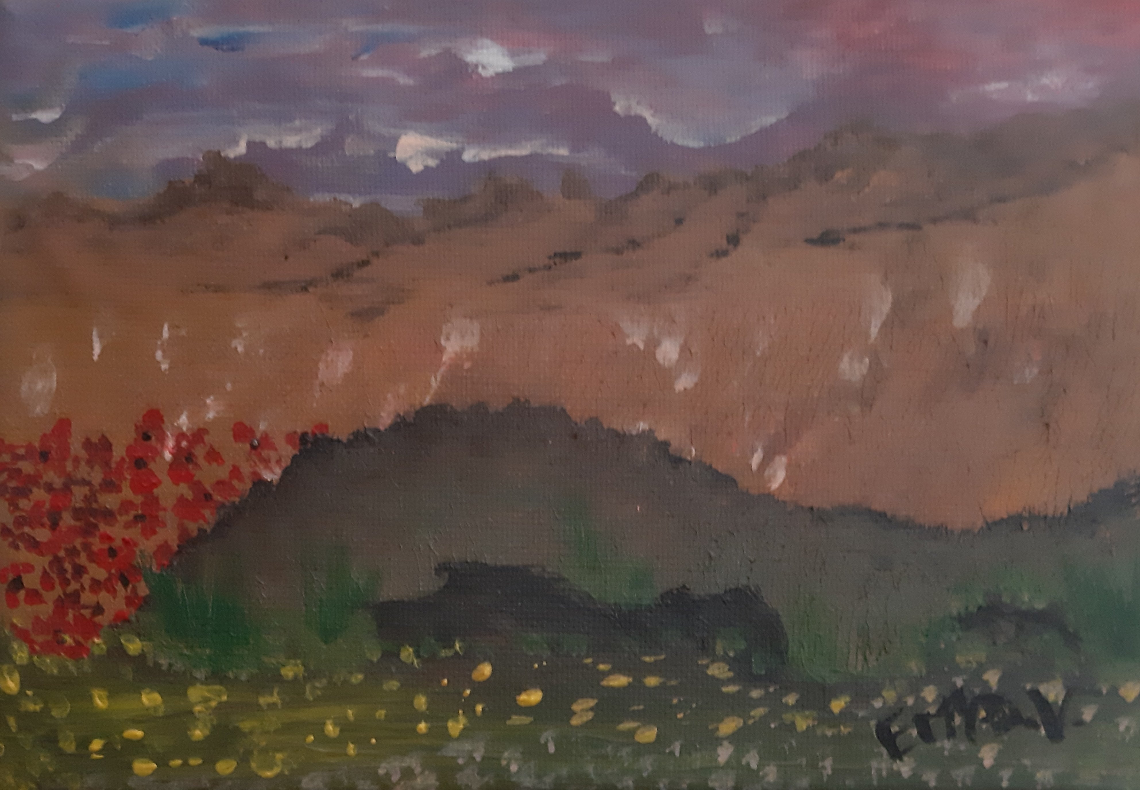 Vista