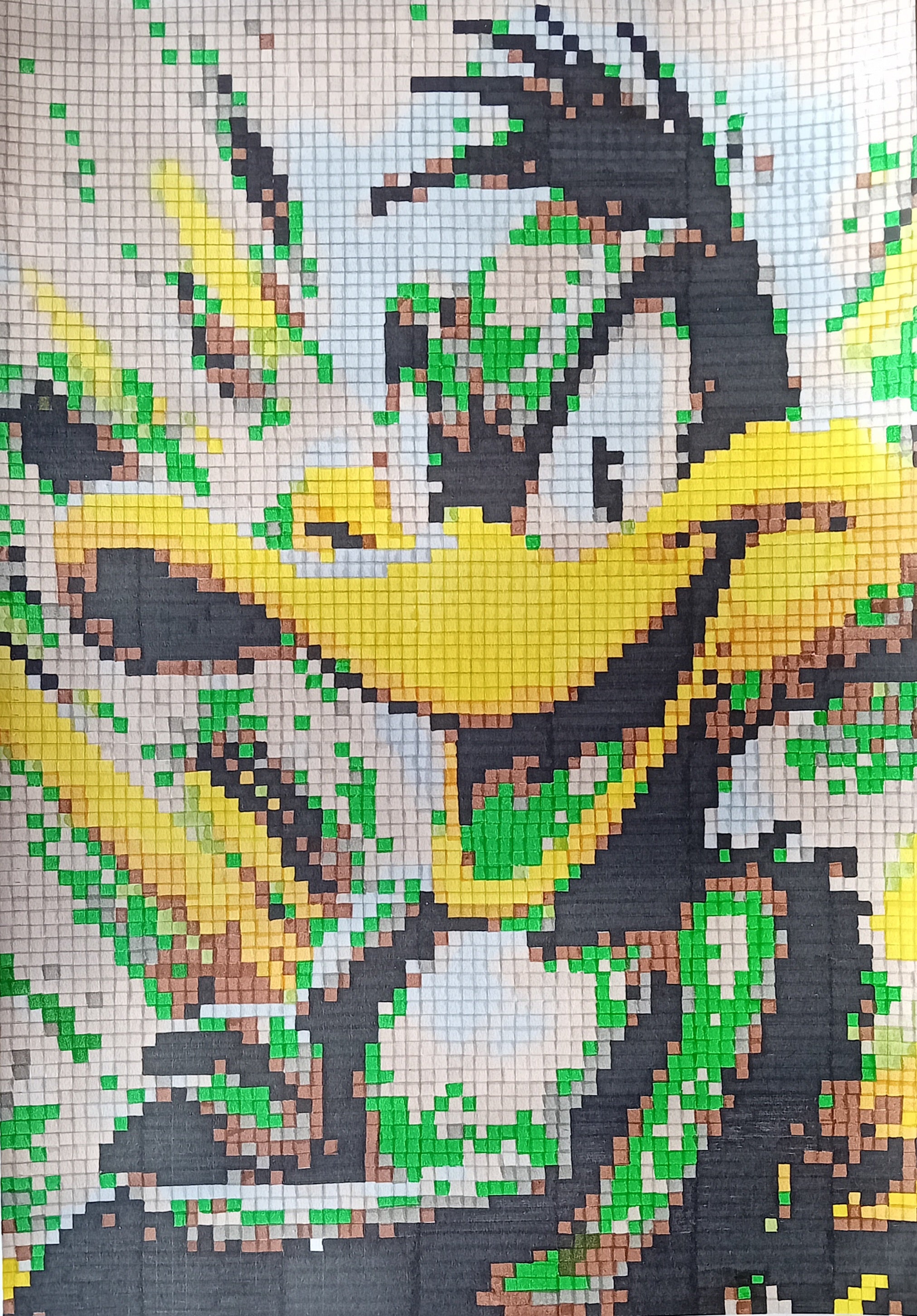 Donald Duck