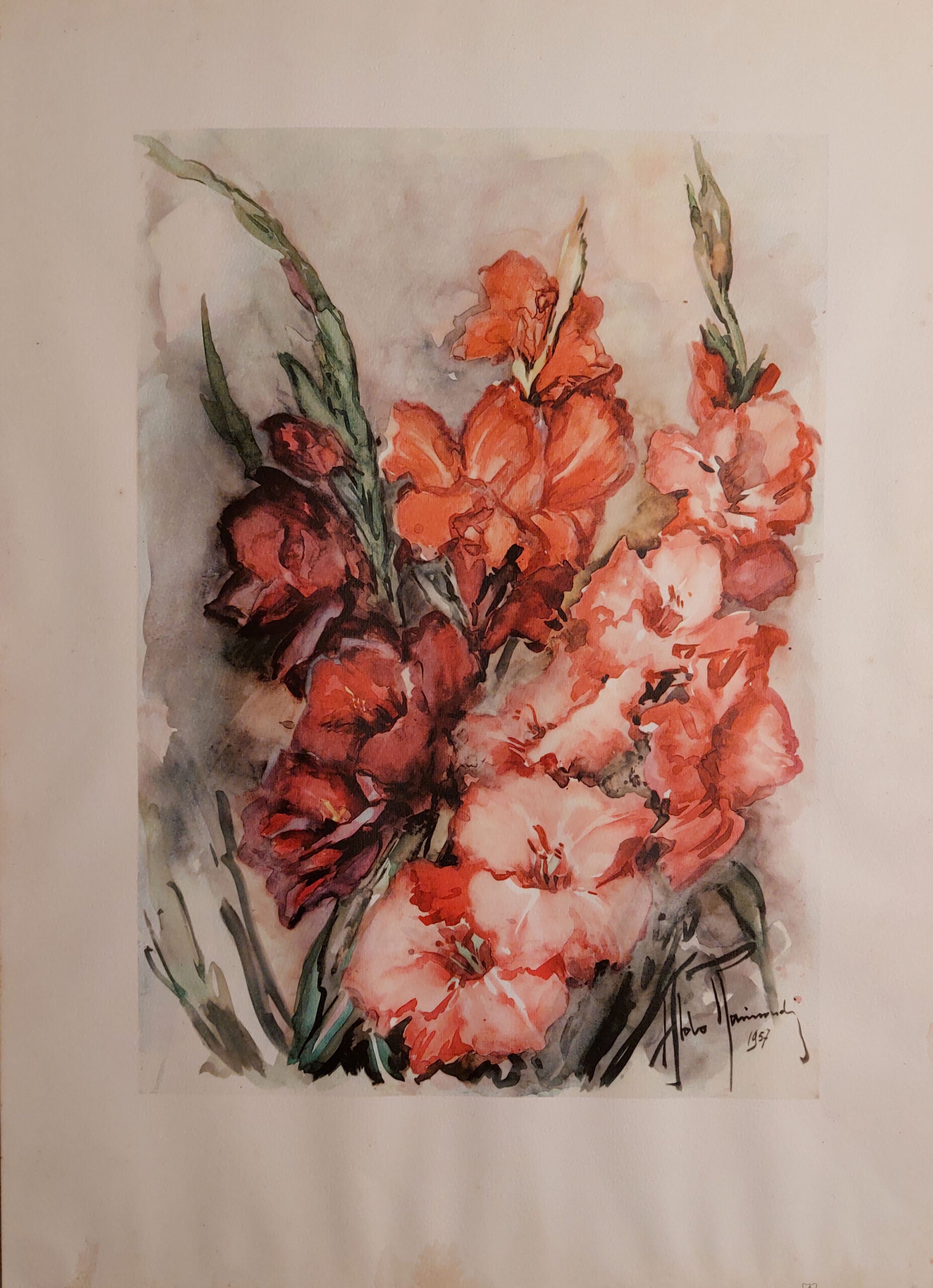 Aldo Raimondi - Senza titolo (fiori)