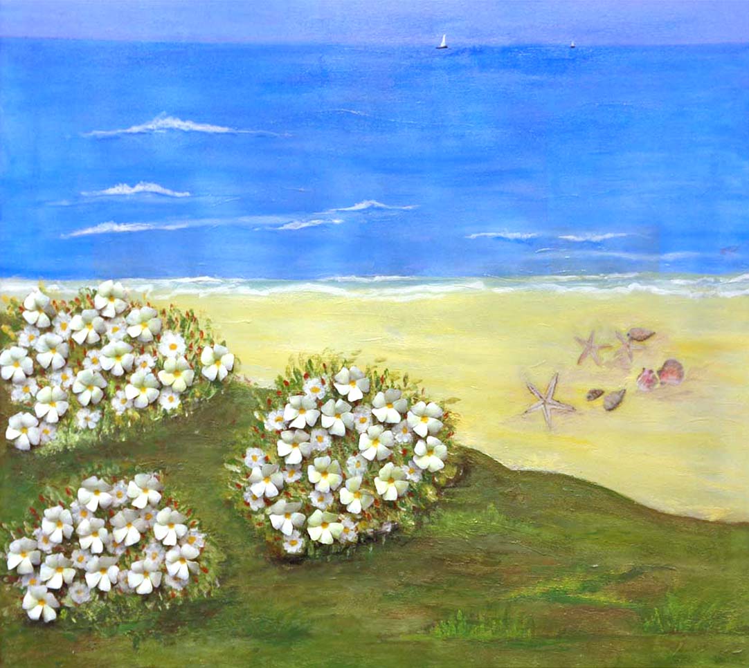 Maria Grazia Algisi - Terra acqua