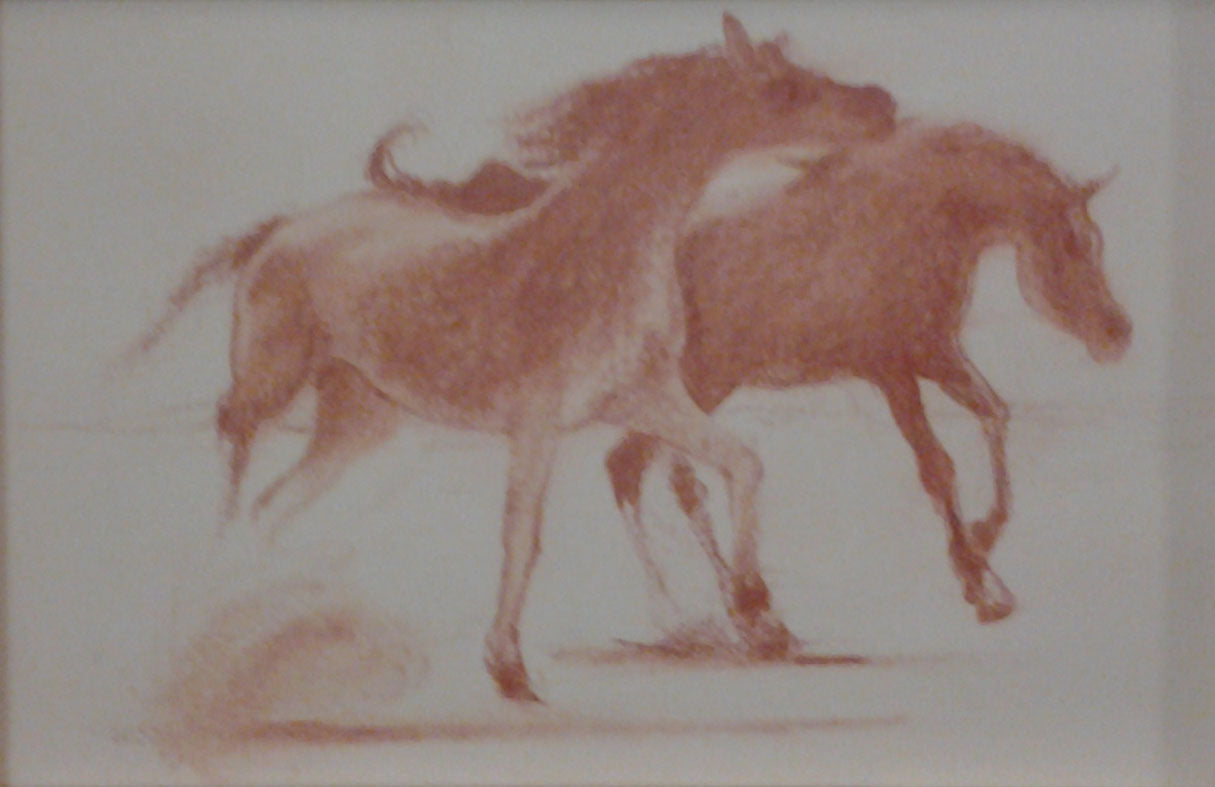 Giuseppe Fuschi - Cavalli nel deserto