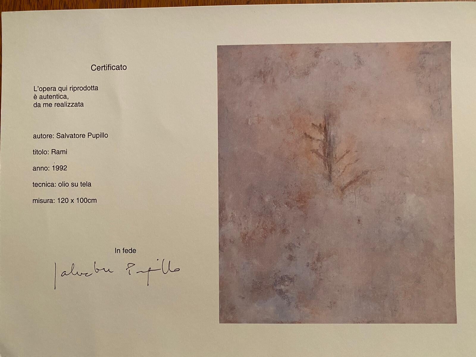 Salvatore Pupillo - Rami