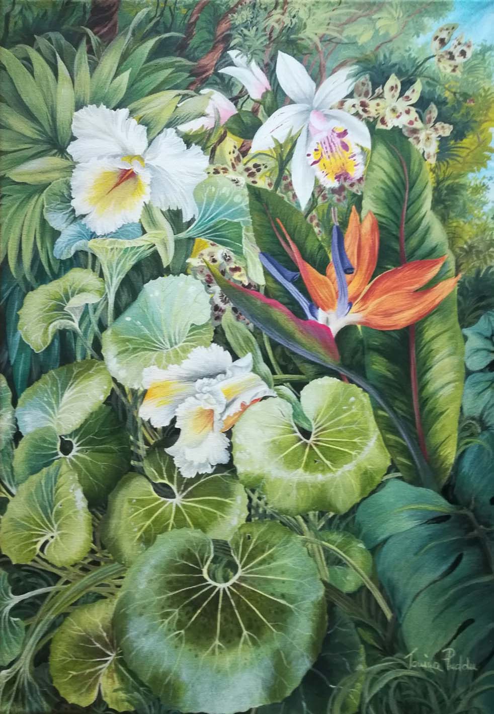 Tonina Puddu - Tropical with Orchids