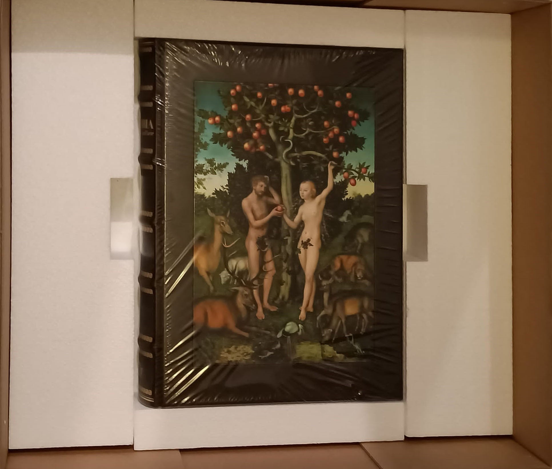 La Bibbia nella cultura e nell'arte - Utet