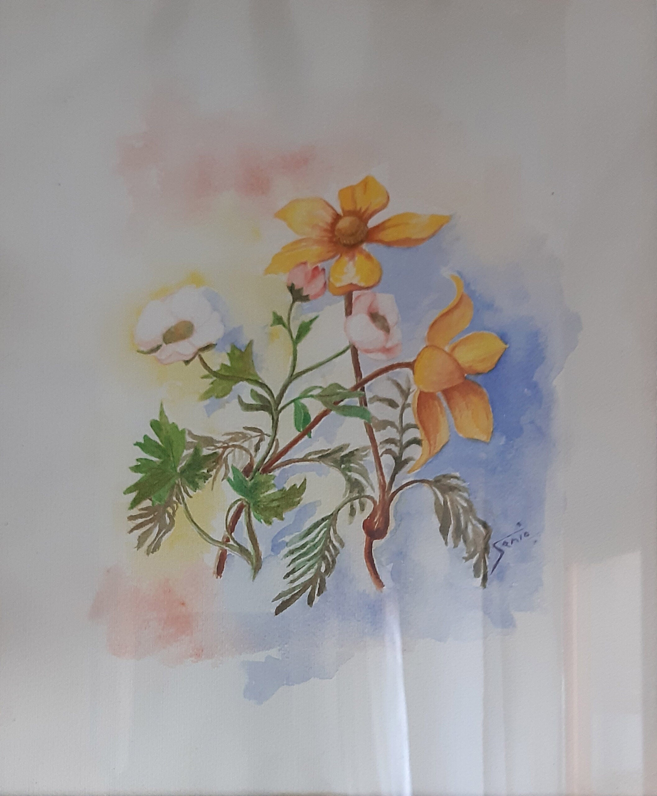 Senio Pratesi - Trittico Fiori