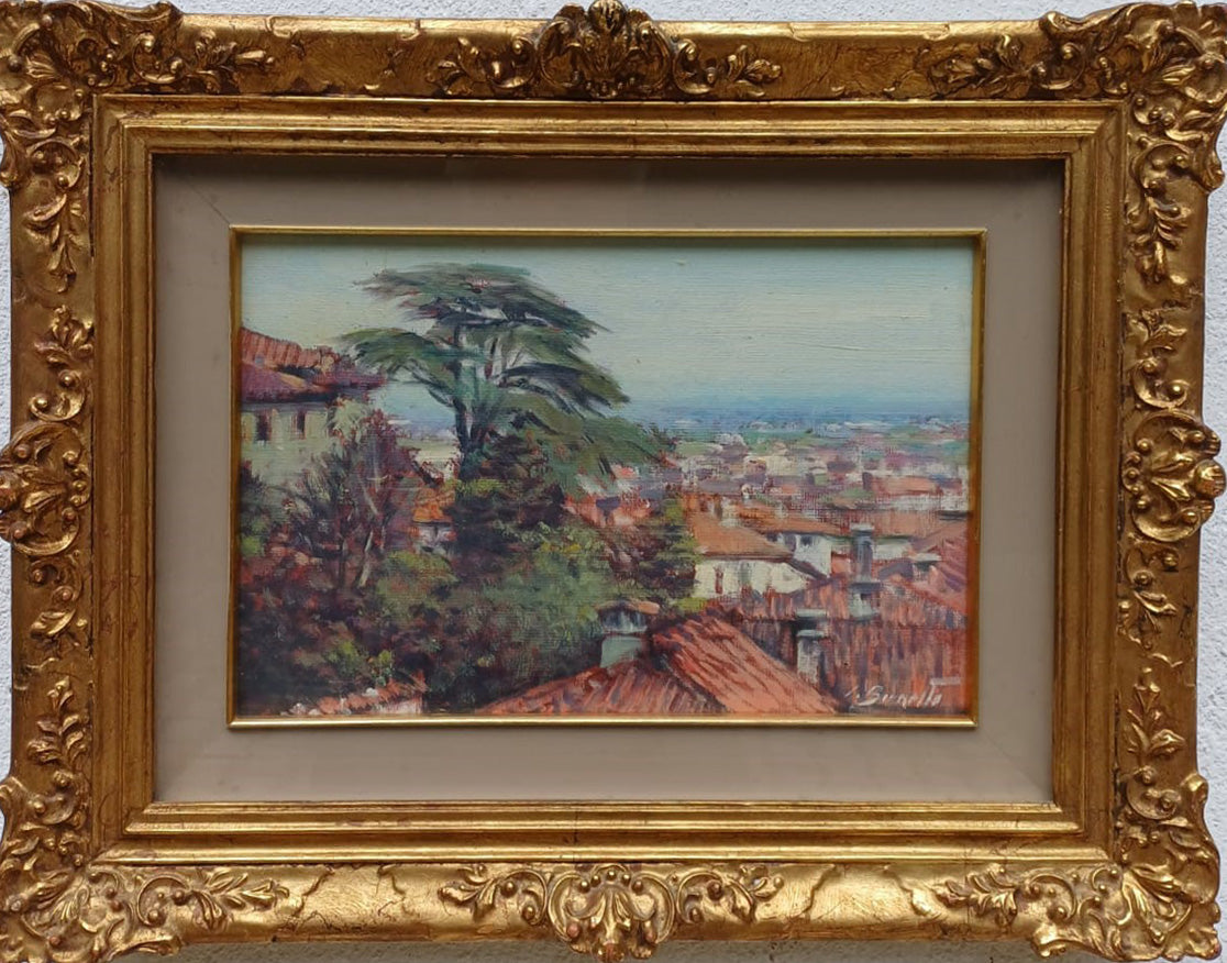 Silvio Brunetto - Saluzzo dalla castiglia