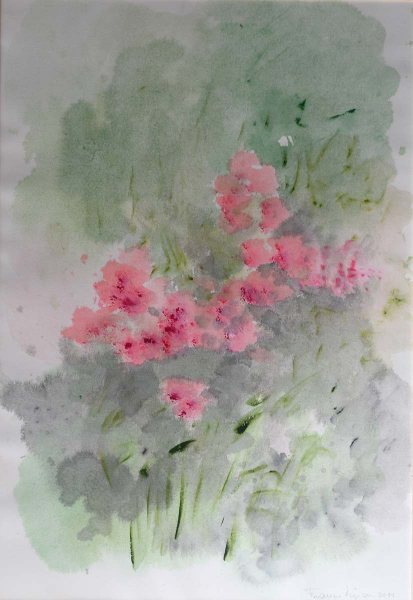 Franco Vivian - Bush with Rhododendrons