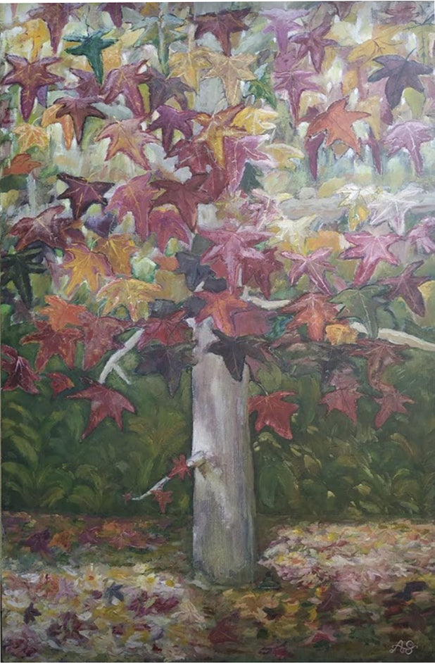 Aurora Sánchez Martin - Arbol Liquidambar