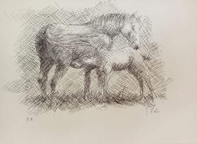 Giovanni Ajello - Untitled