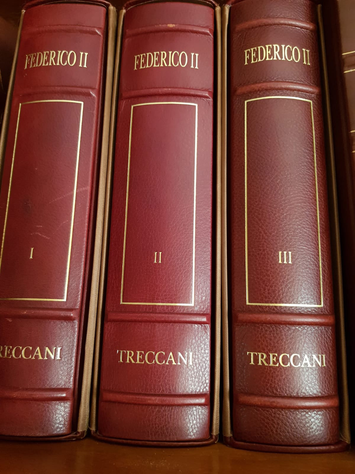 Enciclopedia Italiana Treccani - Federico II